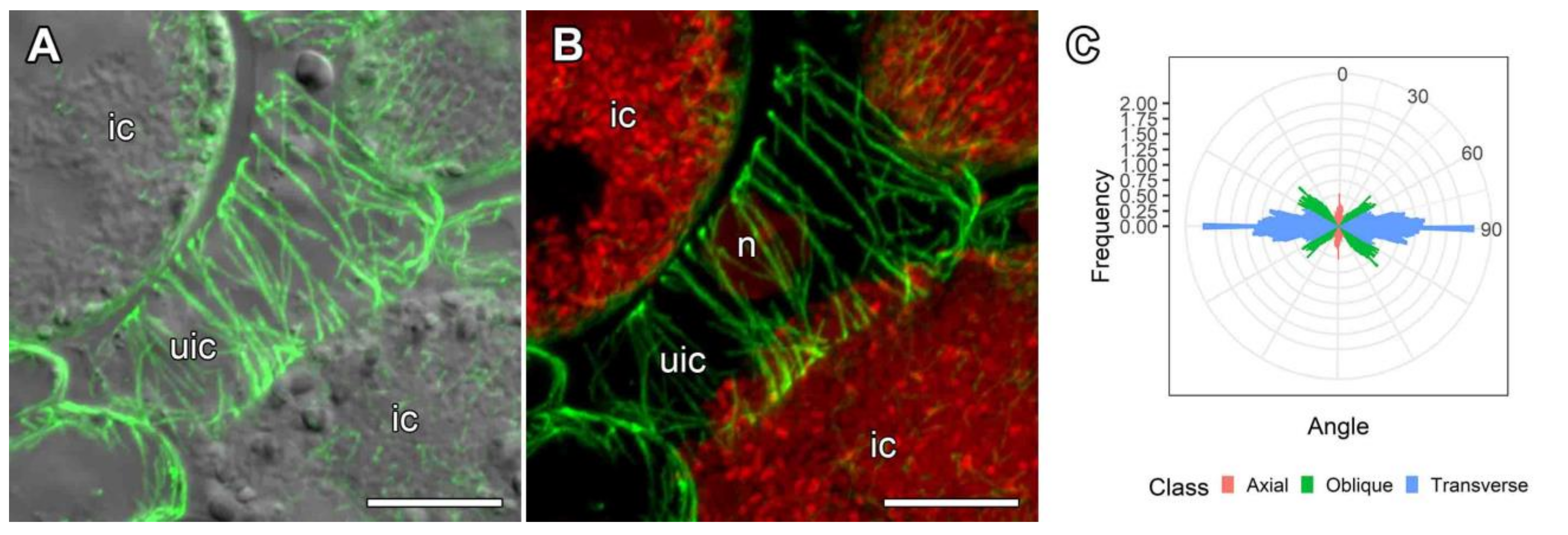 Agronomy 11 02508 g007 Agronomy 11 02508 g007