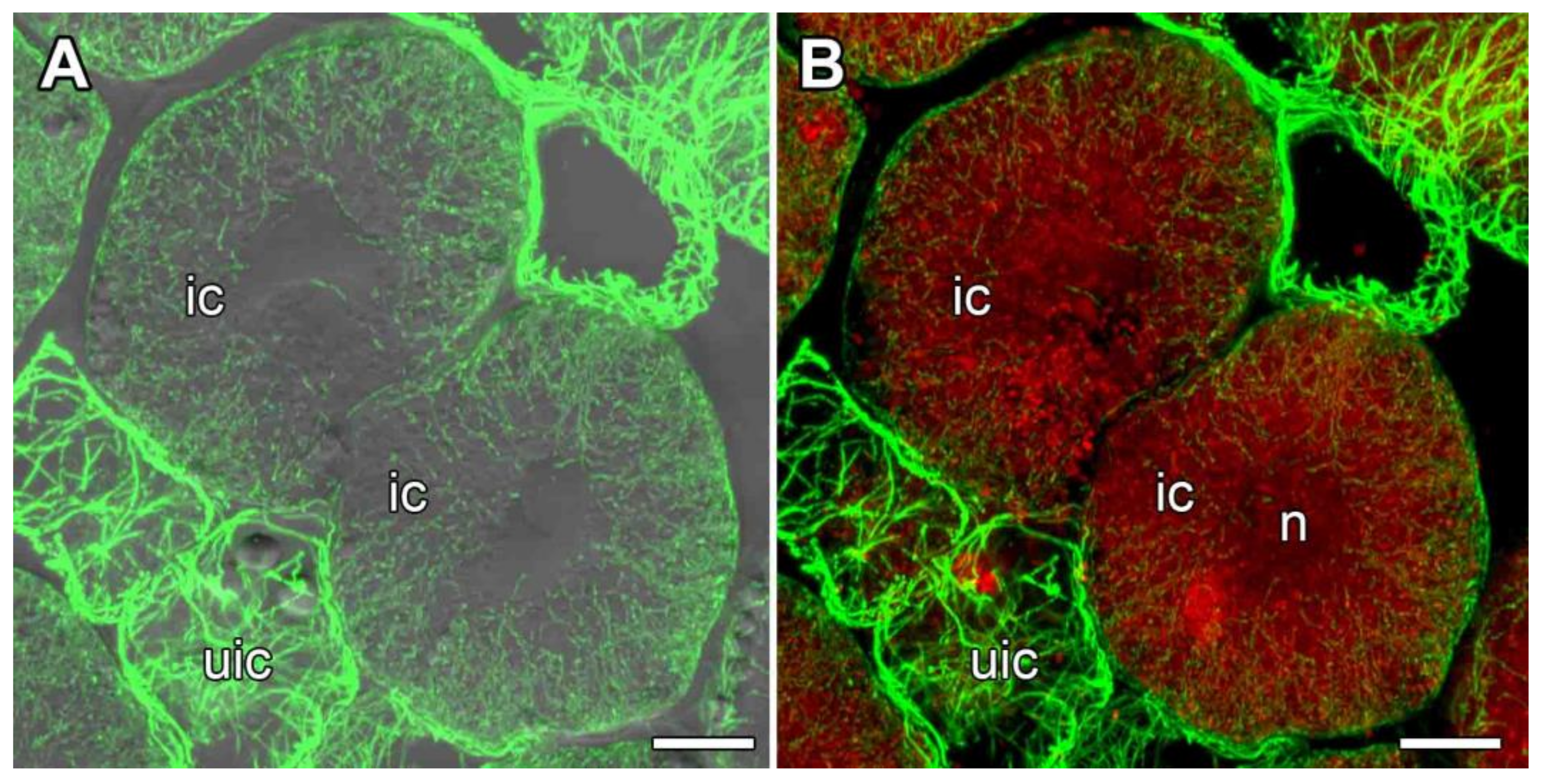 Agronomy 11 02508 g008 Agronomy 11 02508 g008