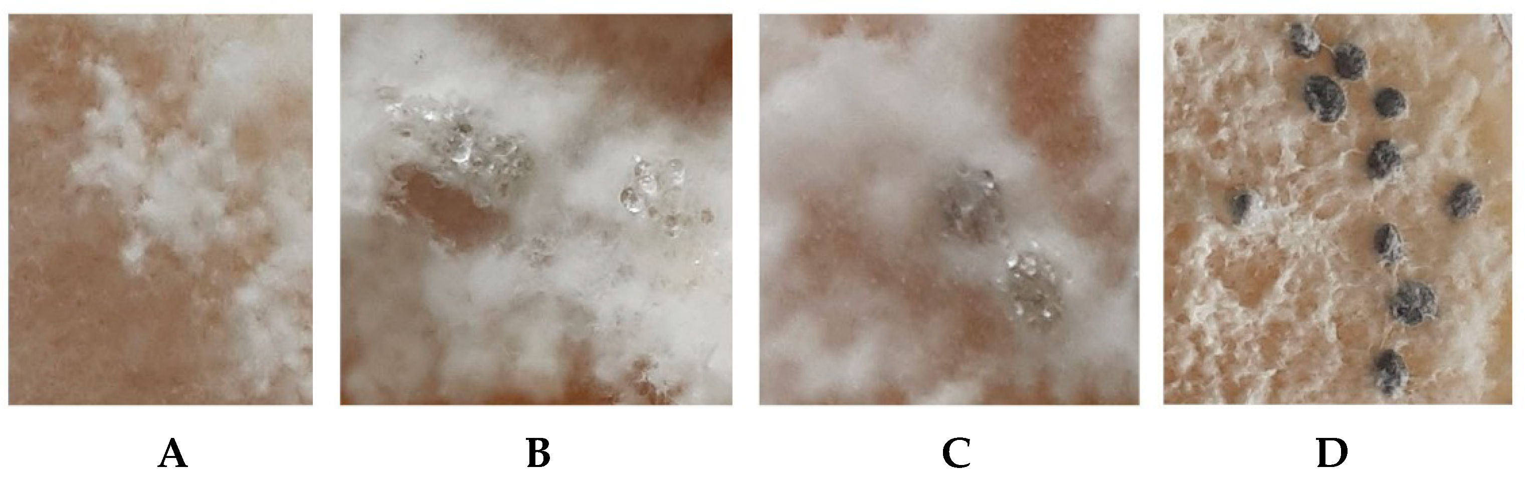Agronomy 11 02520 g002
