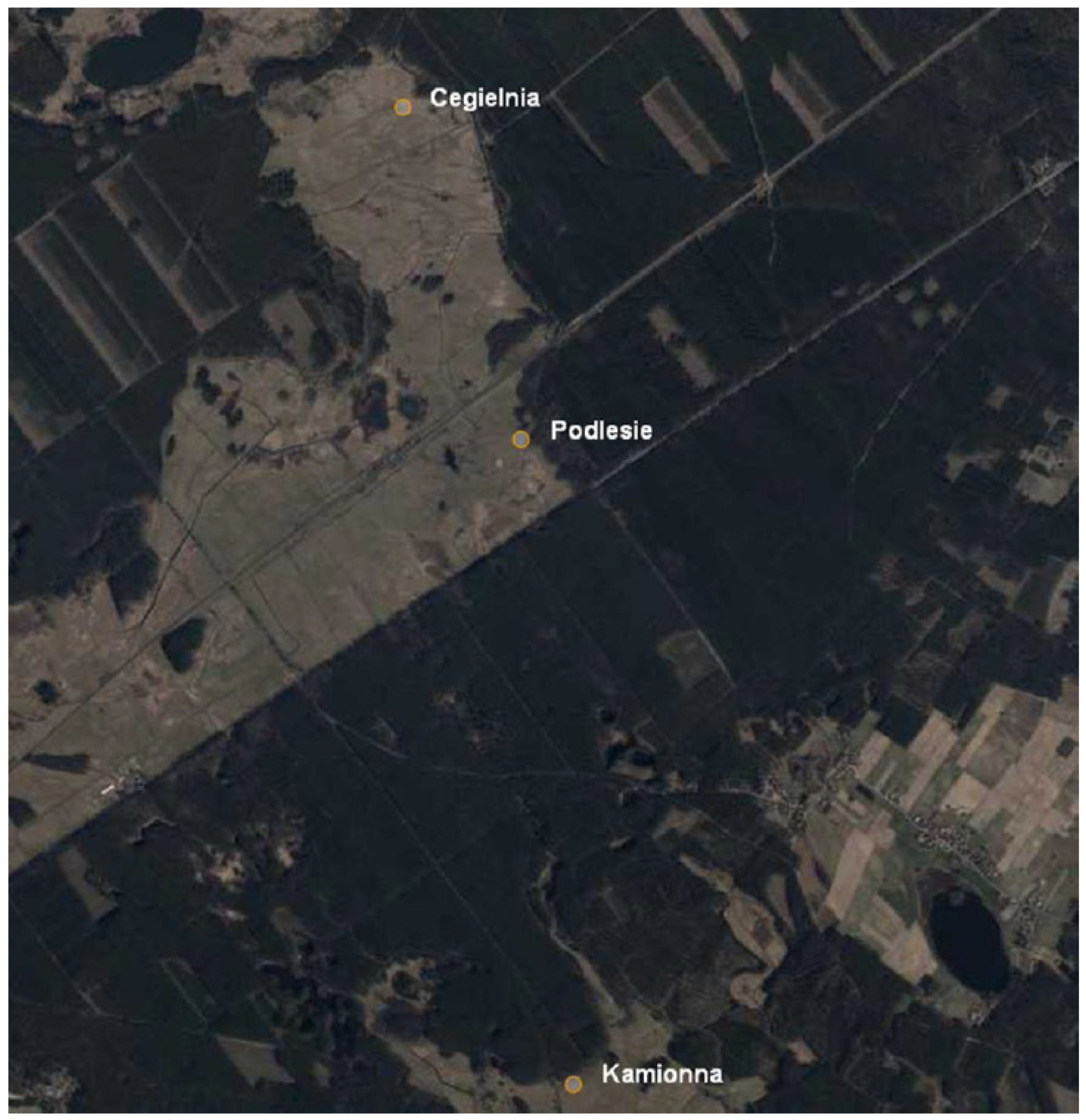 Agronomy 11 02553 g001