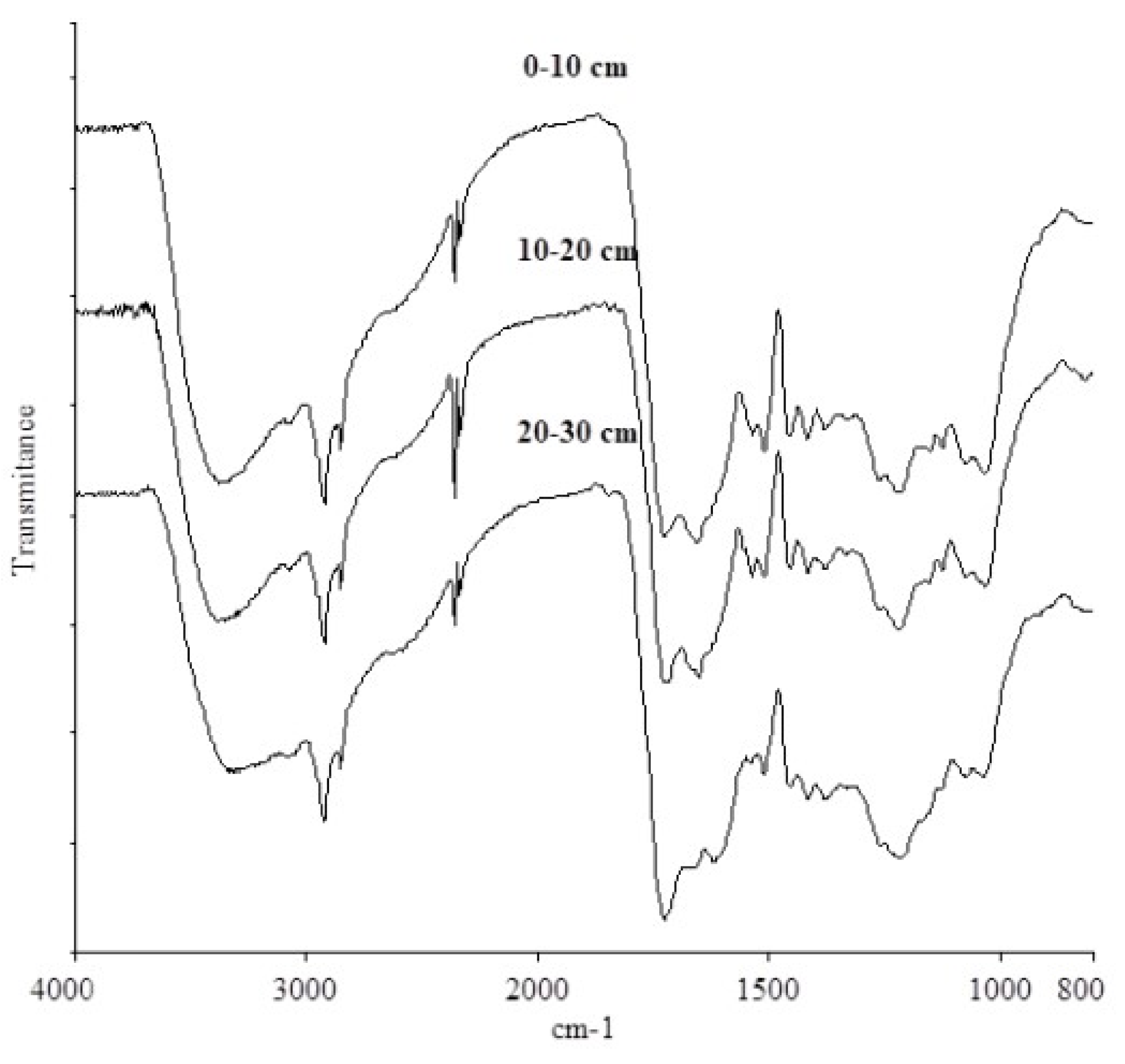 Agronomy 11 02553 g002