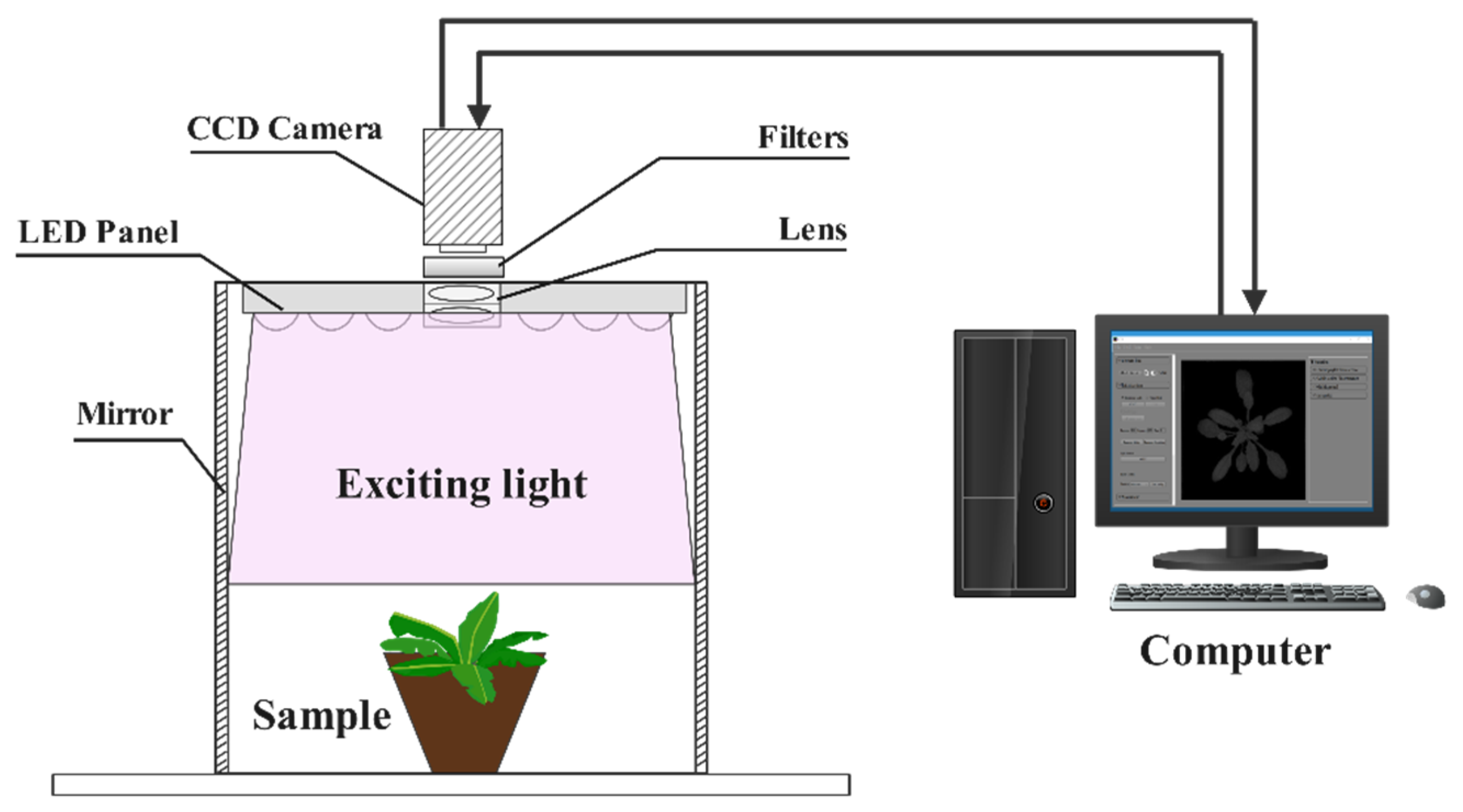 Agronomy 11 02577 g001