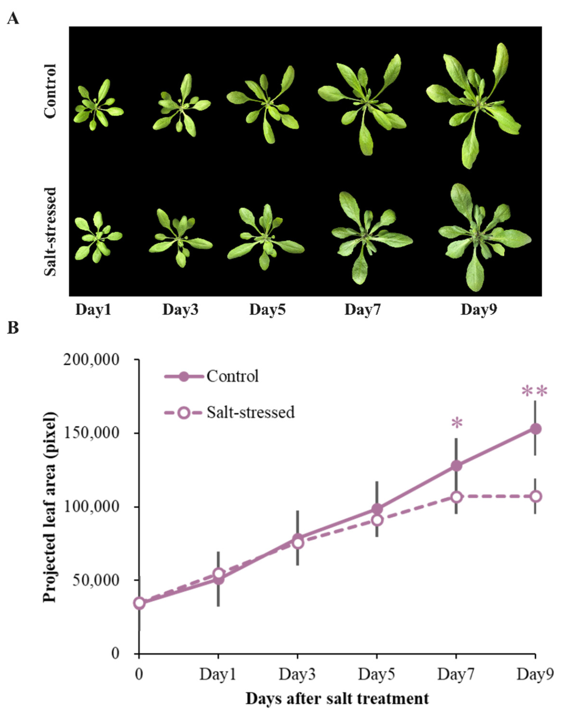 Agronomy 11 02577 g002