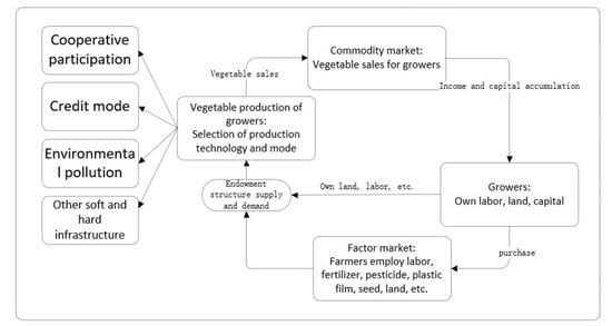 Agronomy Free Full Text Research On The Industrial Upgrade Of Vegetable Growers In Shaanxi A Cross Regional Comparative Analysis Of Experience Reference Html