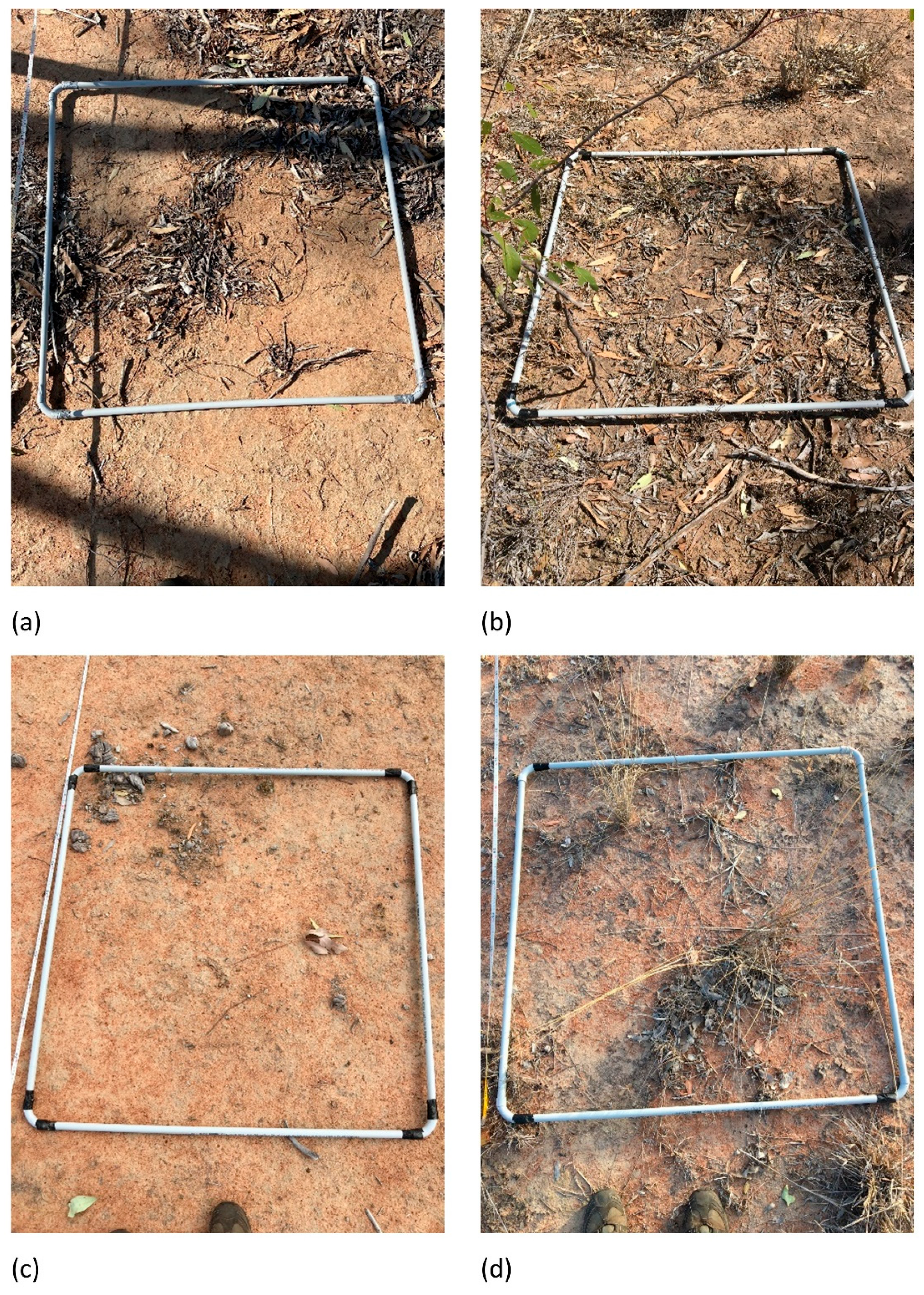 Agronomy 12 00062 g005 Agronomy 12 00062 g005