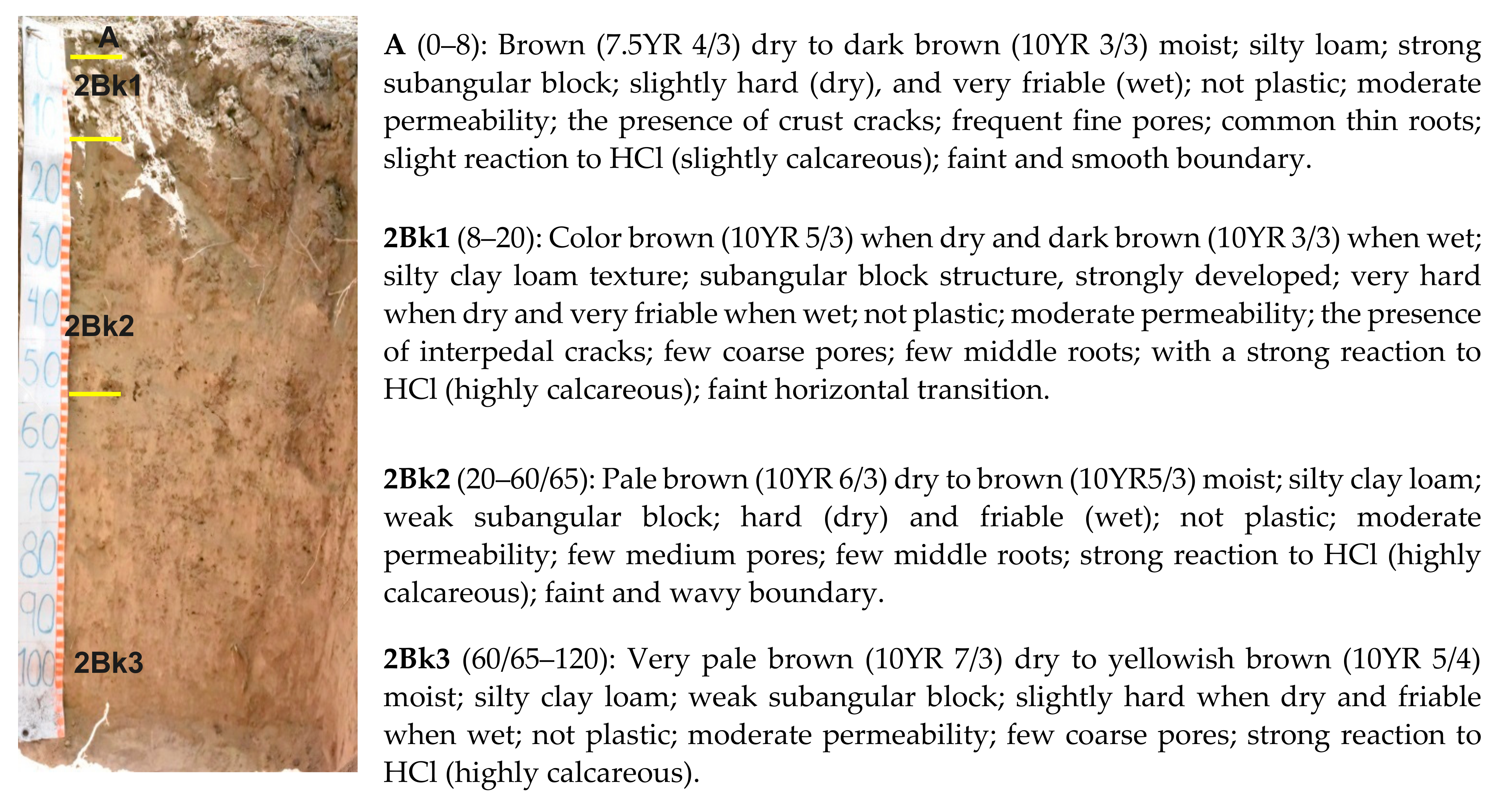 Agronomy 12 00067 g005