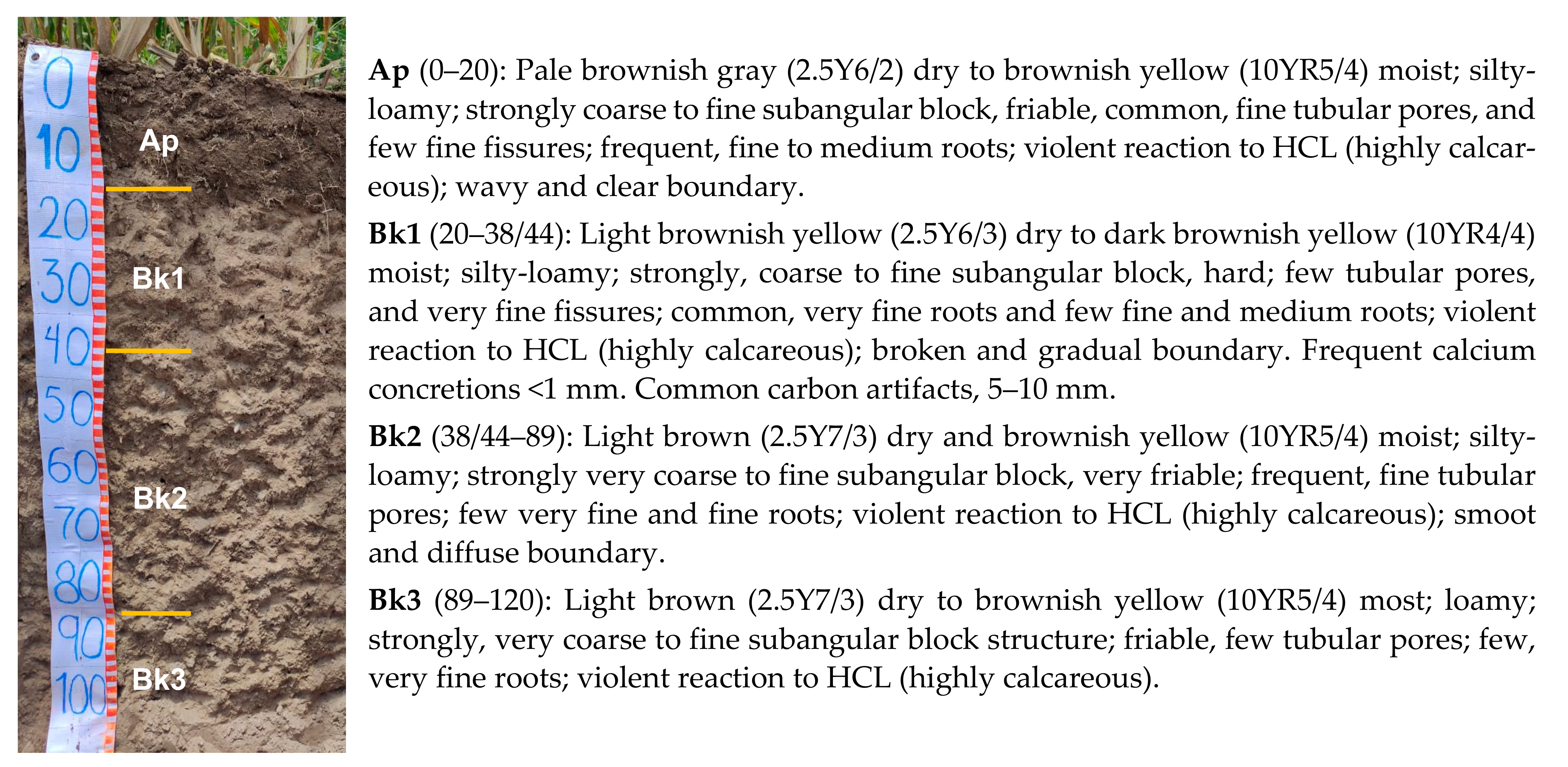 Agronomy 12 00067 g007