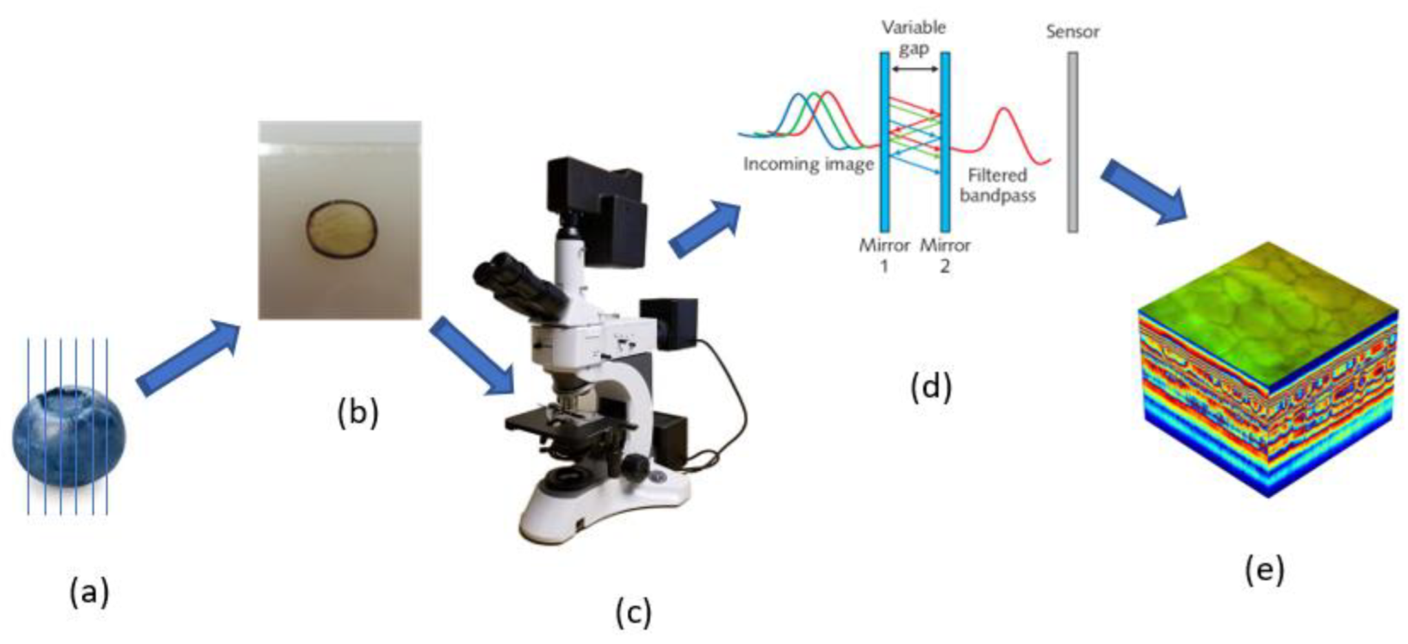 Agronomy 12 00085 g002