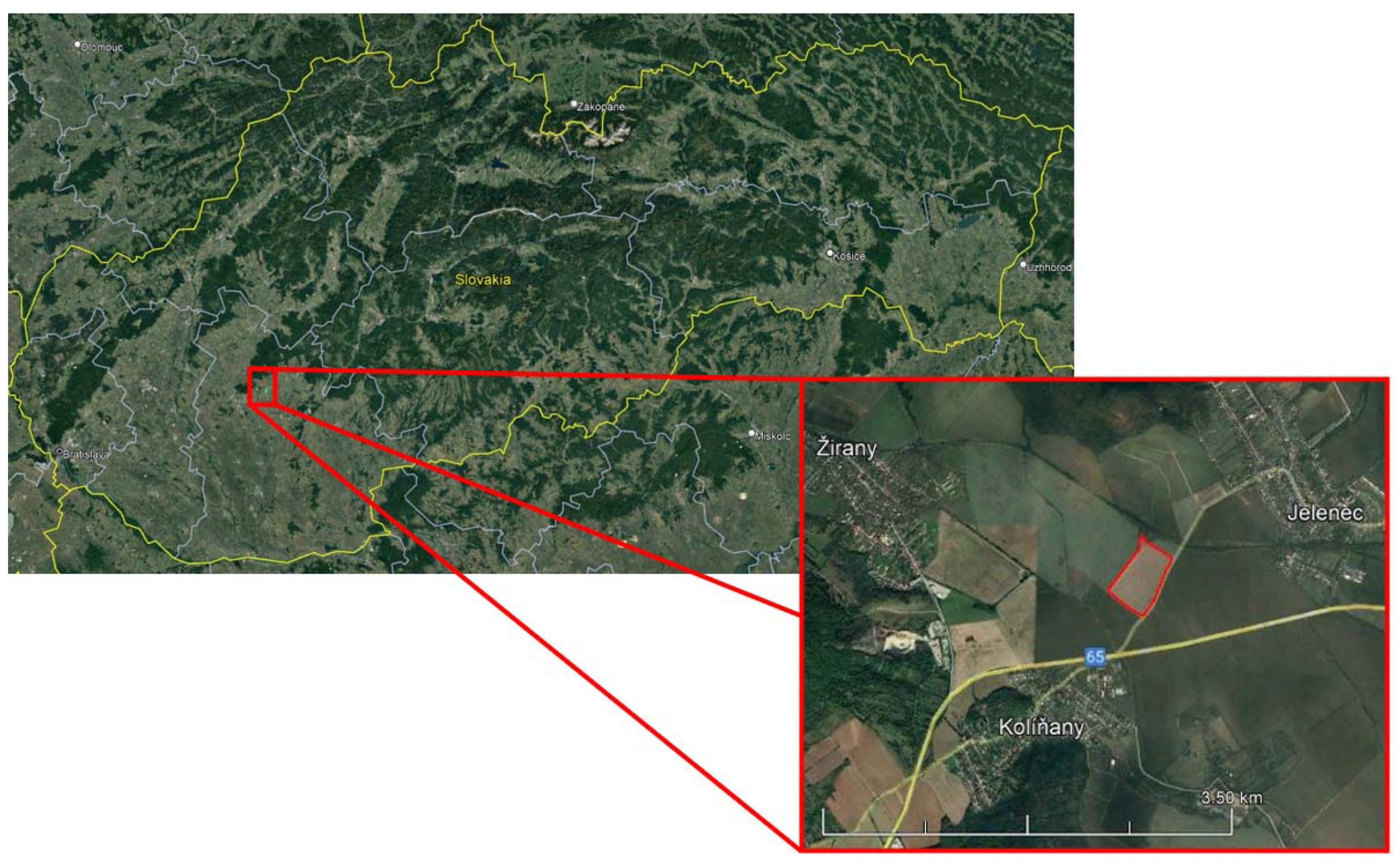 Agronomy 12 00128 g001