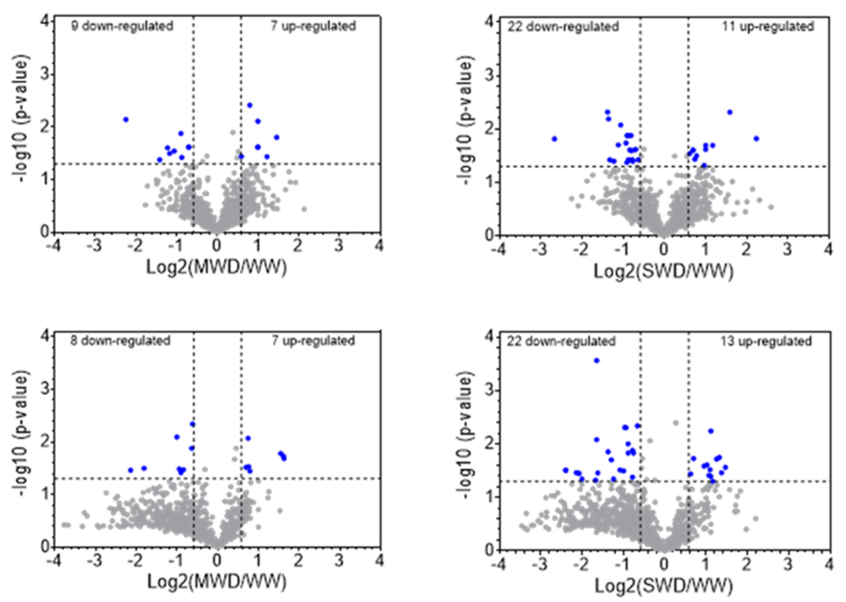 Agronomy 12 00148 g004