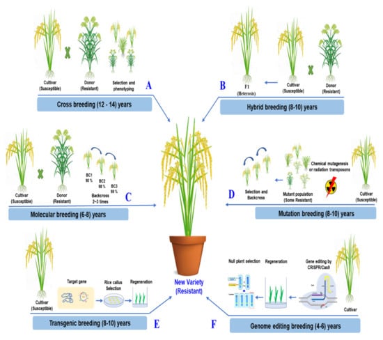 Agronomy | Free Full-Text | Research Trends and Challenges of Using ...