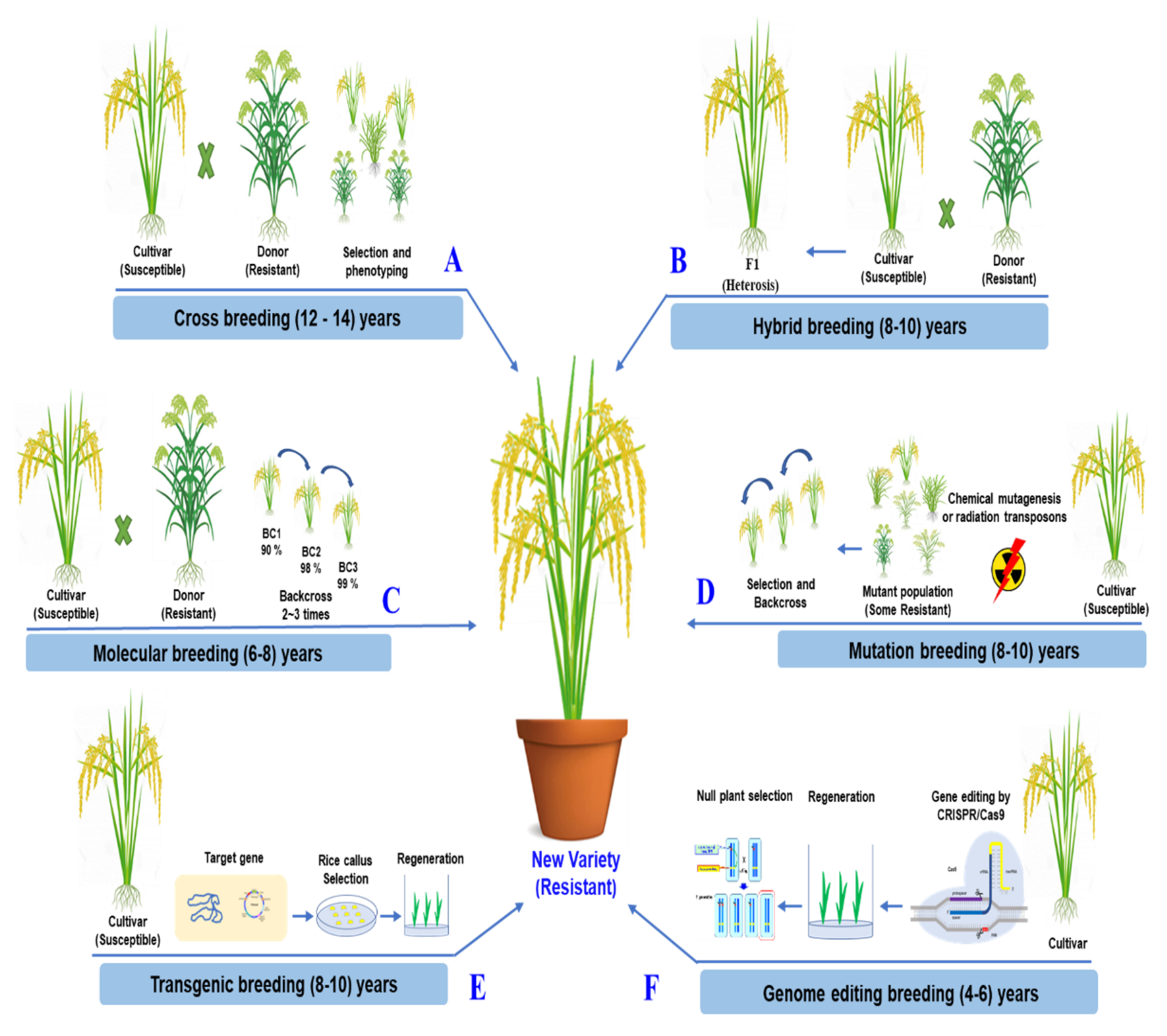Agronomy 12 00164 g004 Agronomy 12 00164 g004