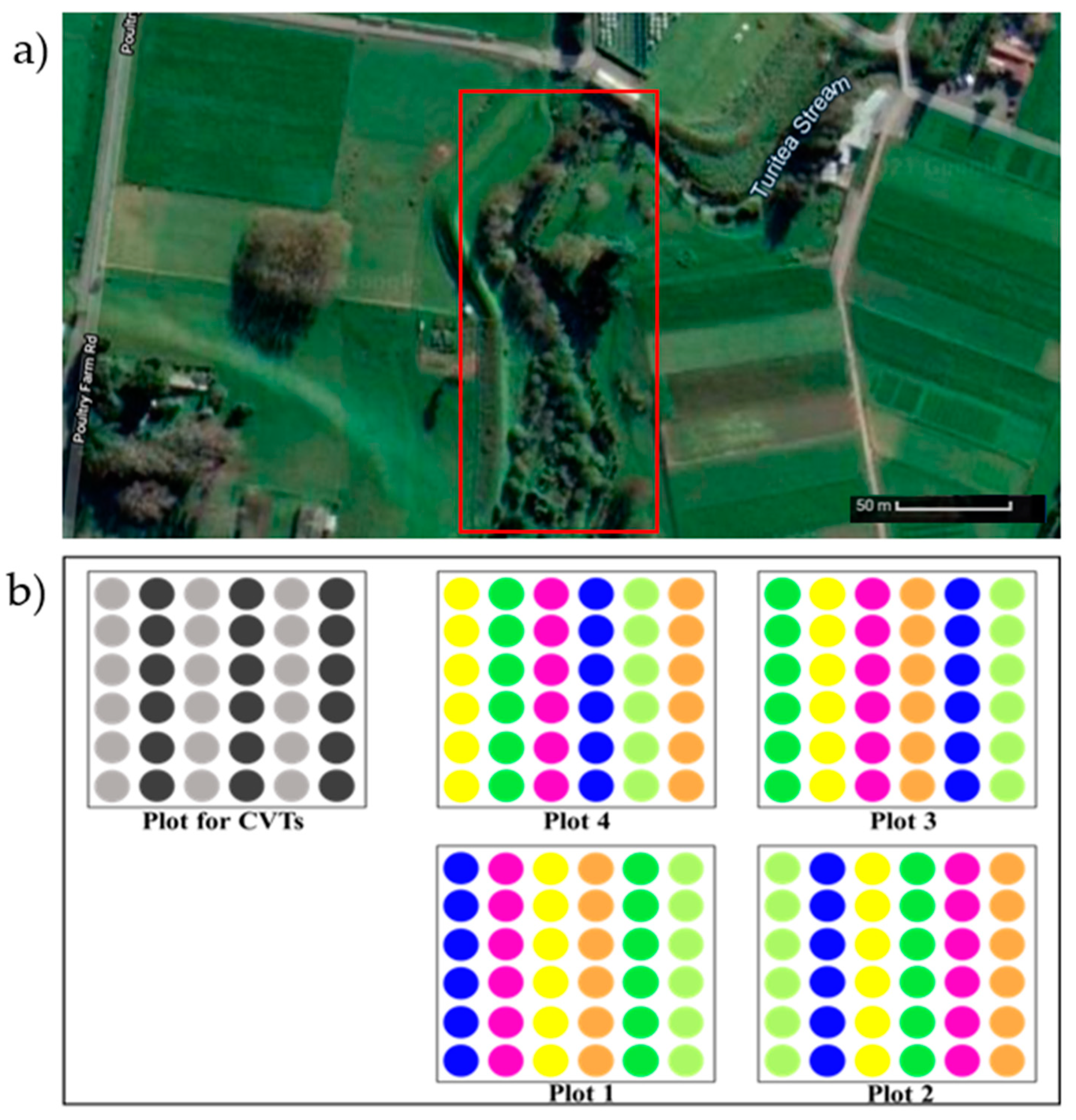 Agronomy 12 00169 g001