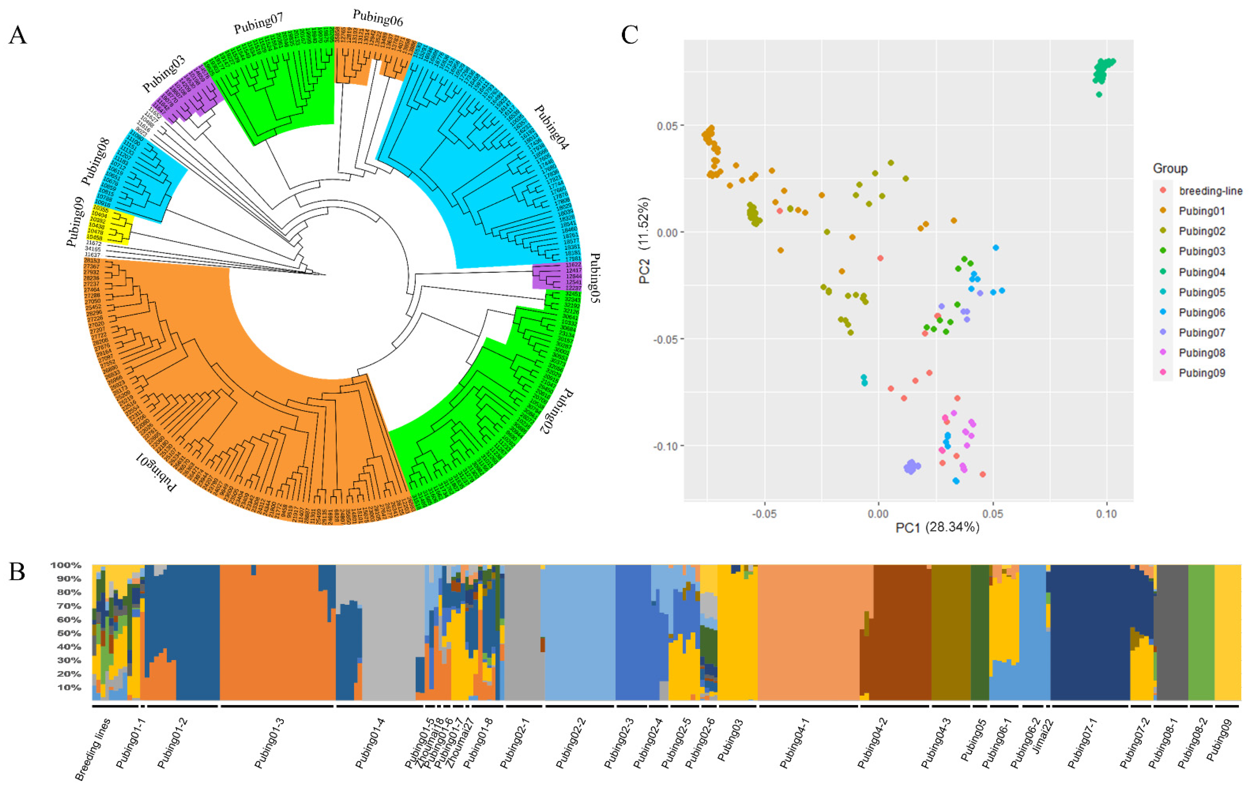 Agronomy 12 00171 g002
