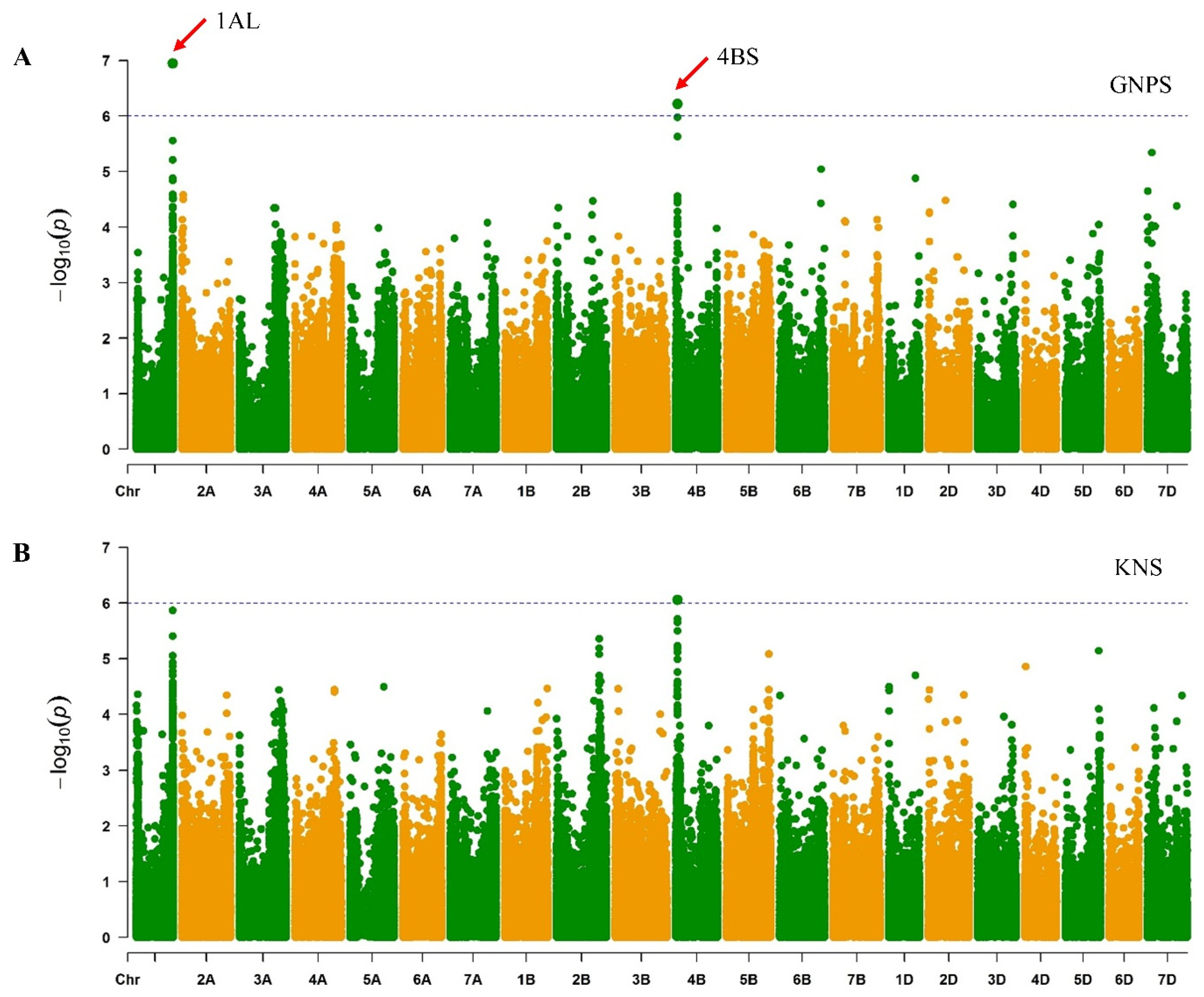 Agronomy 12 00171 g003