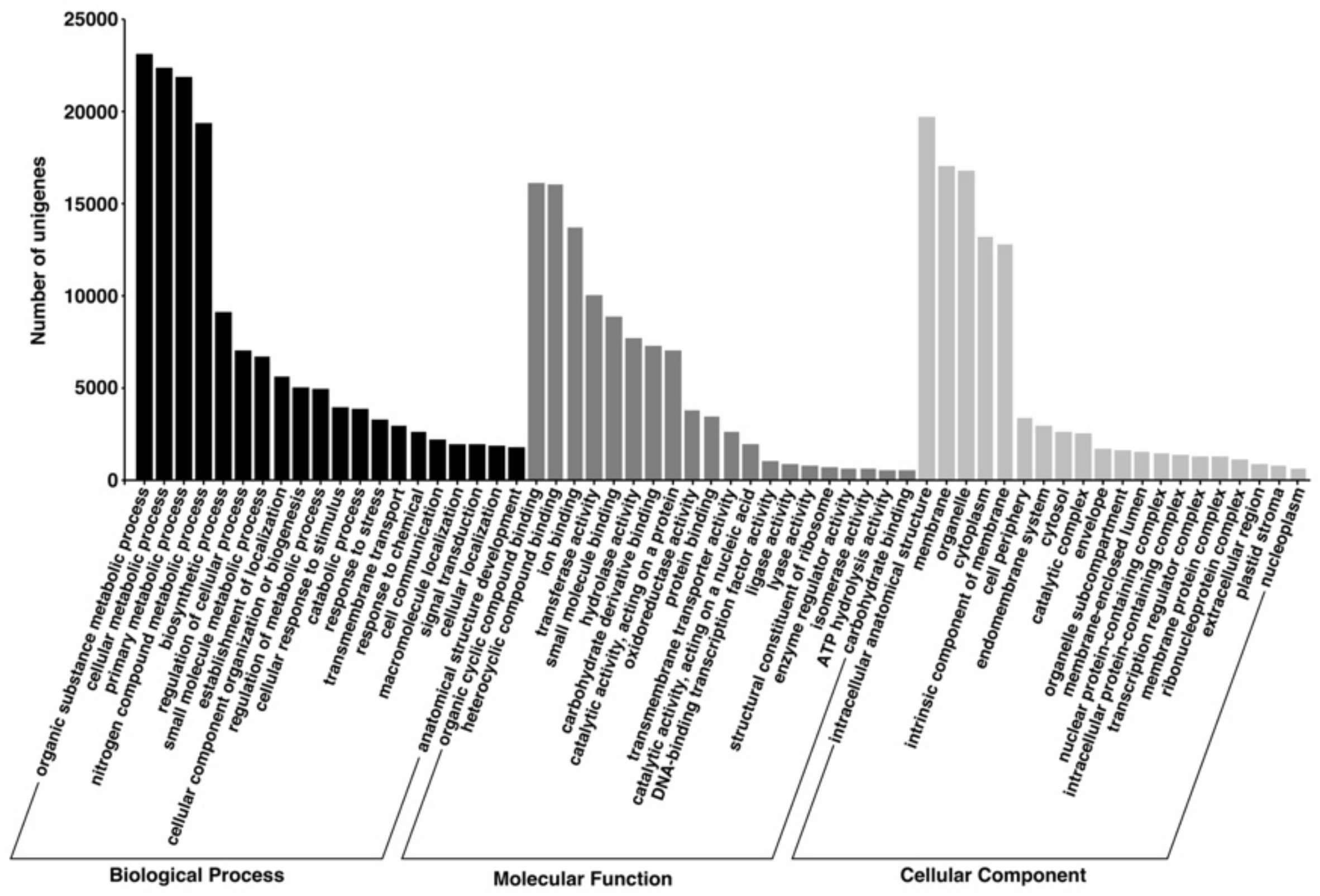 Agronomy 12 00184 g003