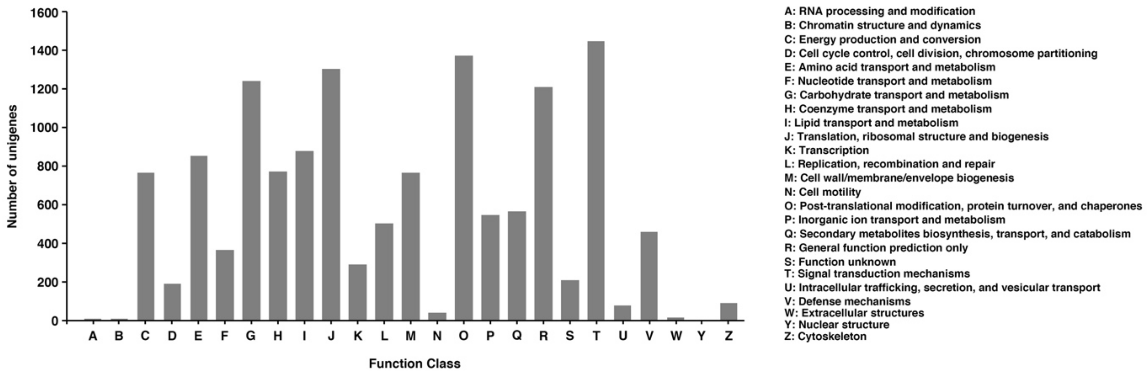 Agronomy 12 00184 g004