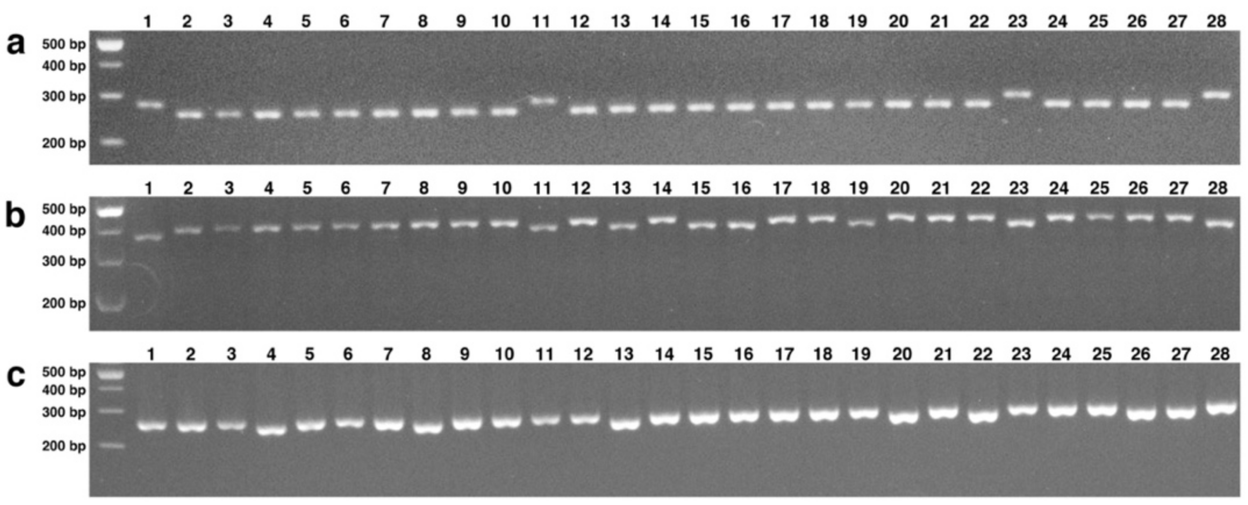 Agronomy 12 00184 g005