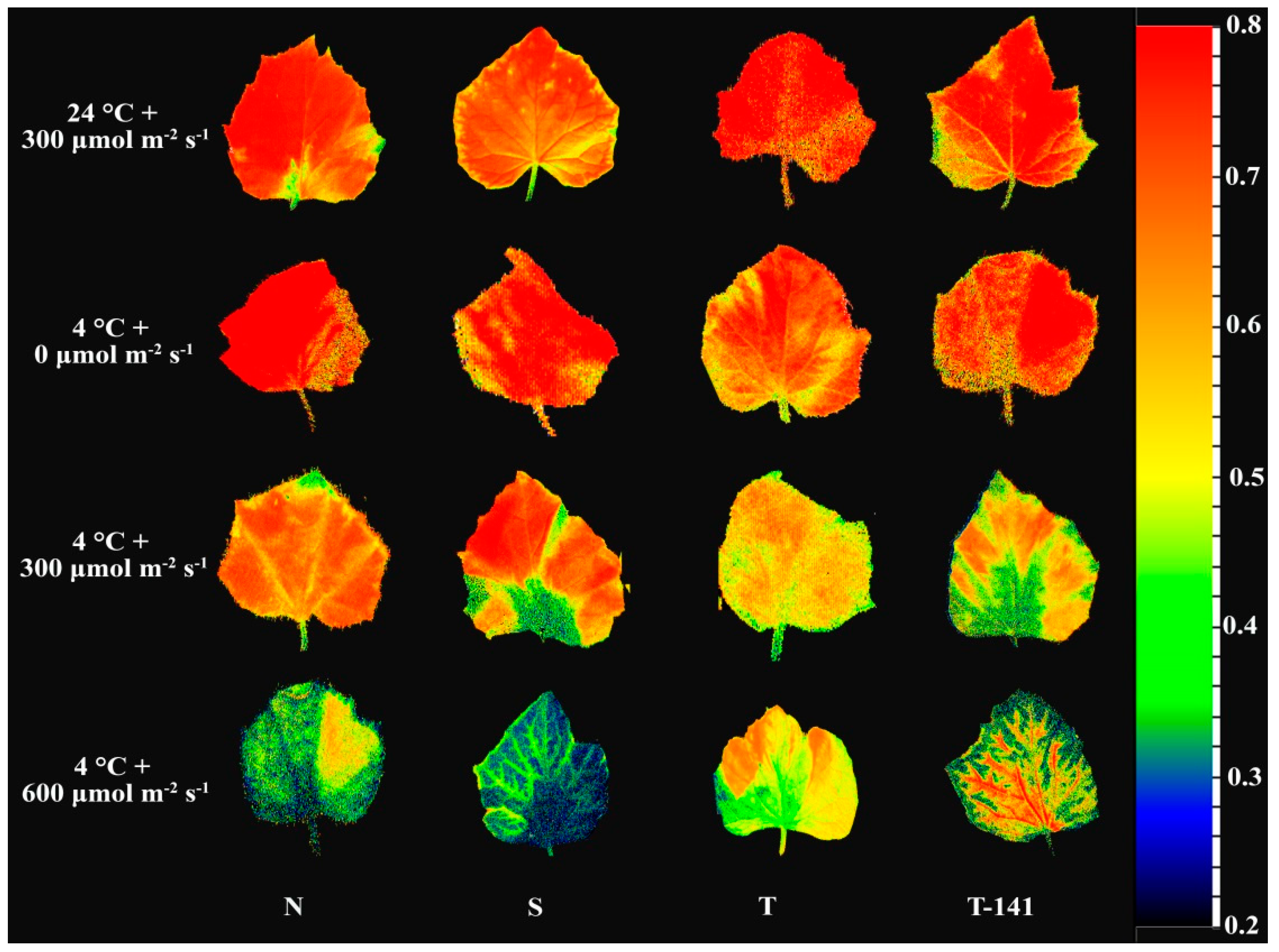 Agronomy 12 00201 g003