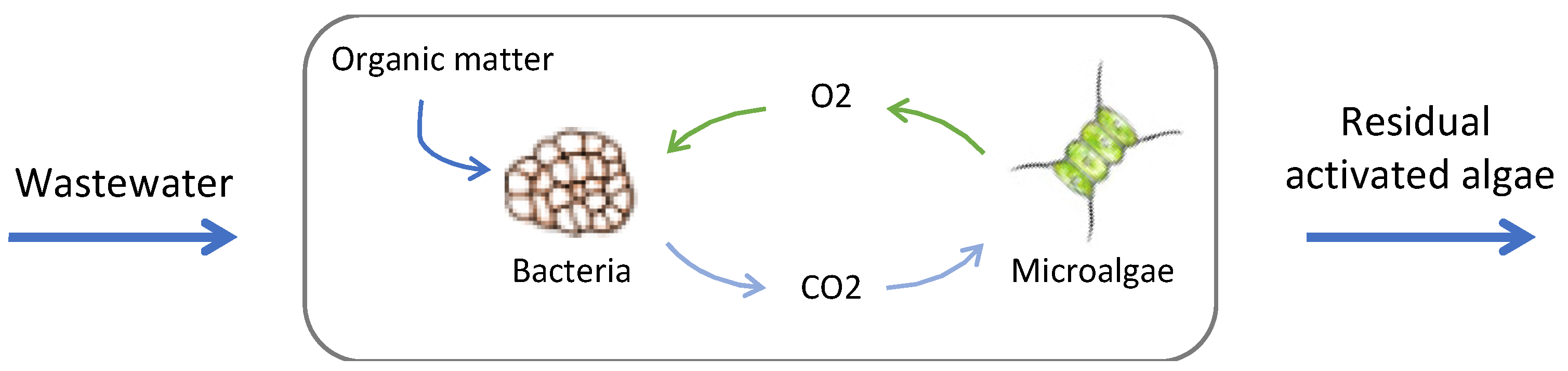 Agronomy 12 00234 g003