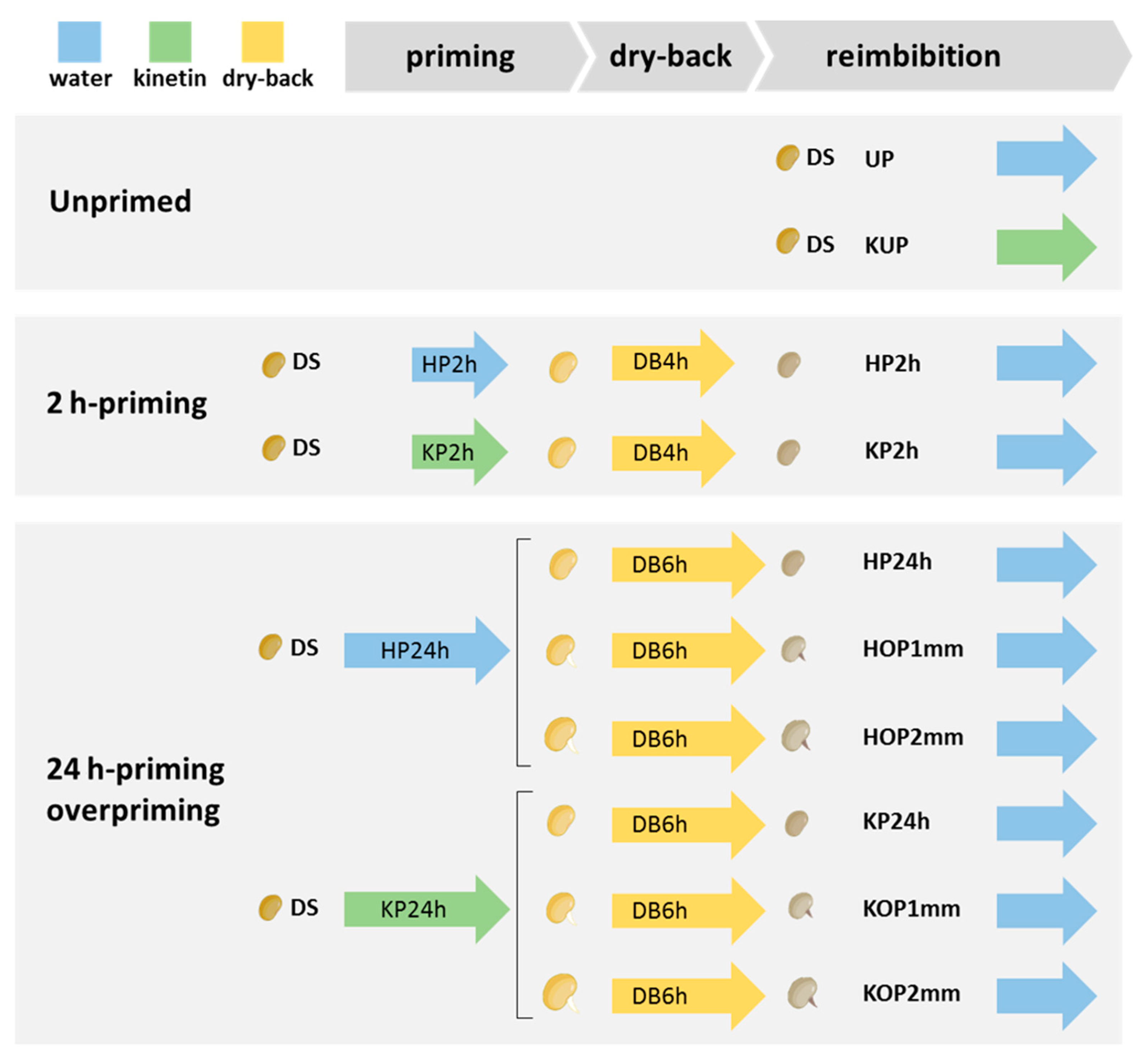 Agronomy 12 00268 g001