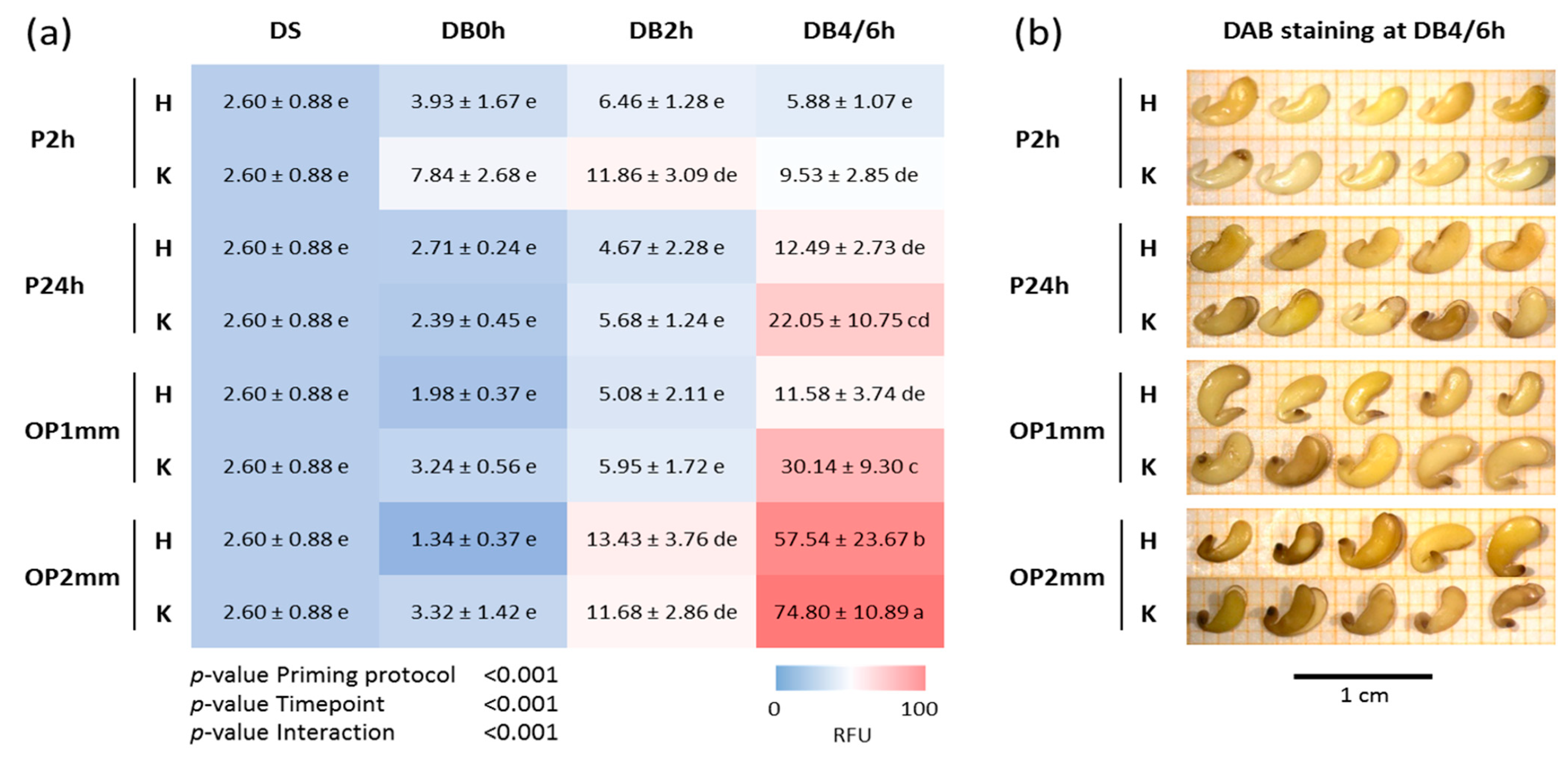 Agronomy 12 00268 g005