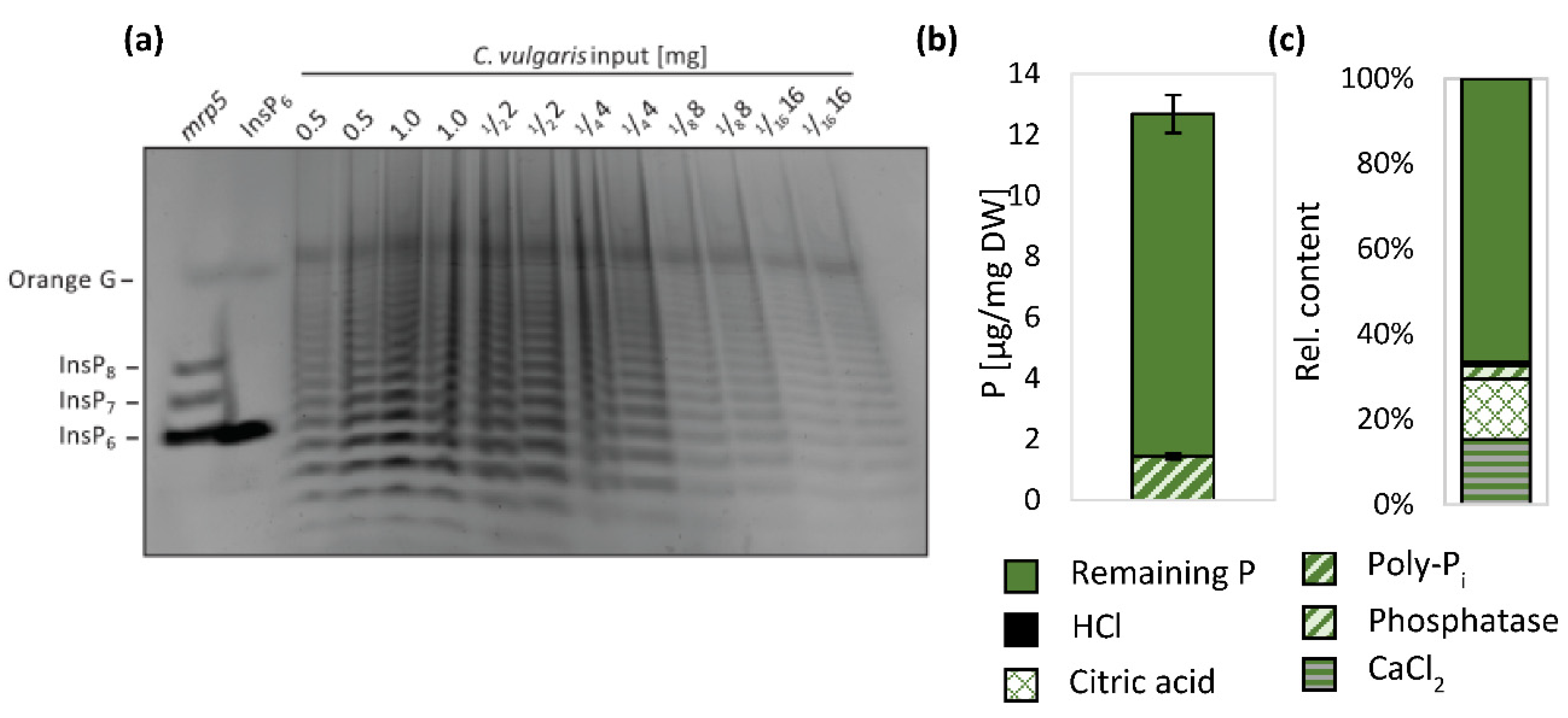 Agronomy 12 00285 g007