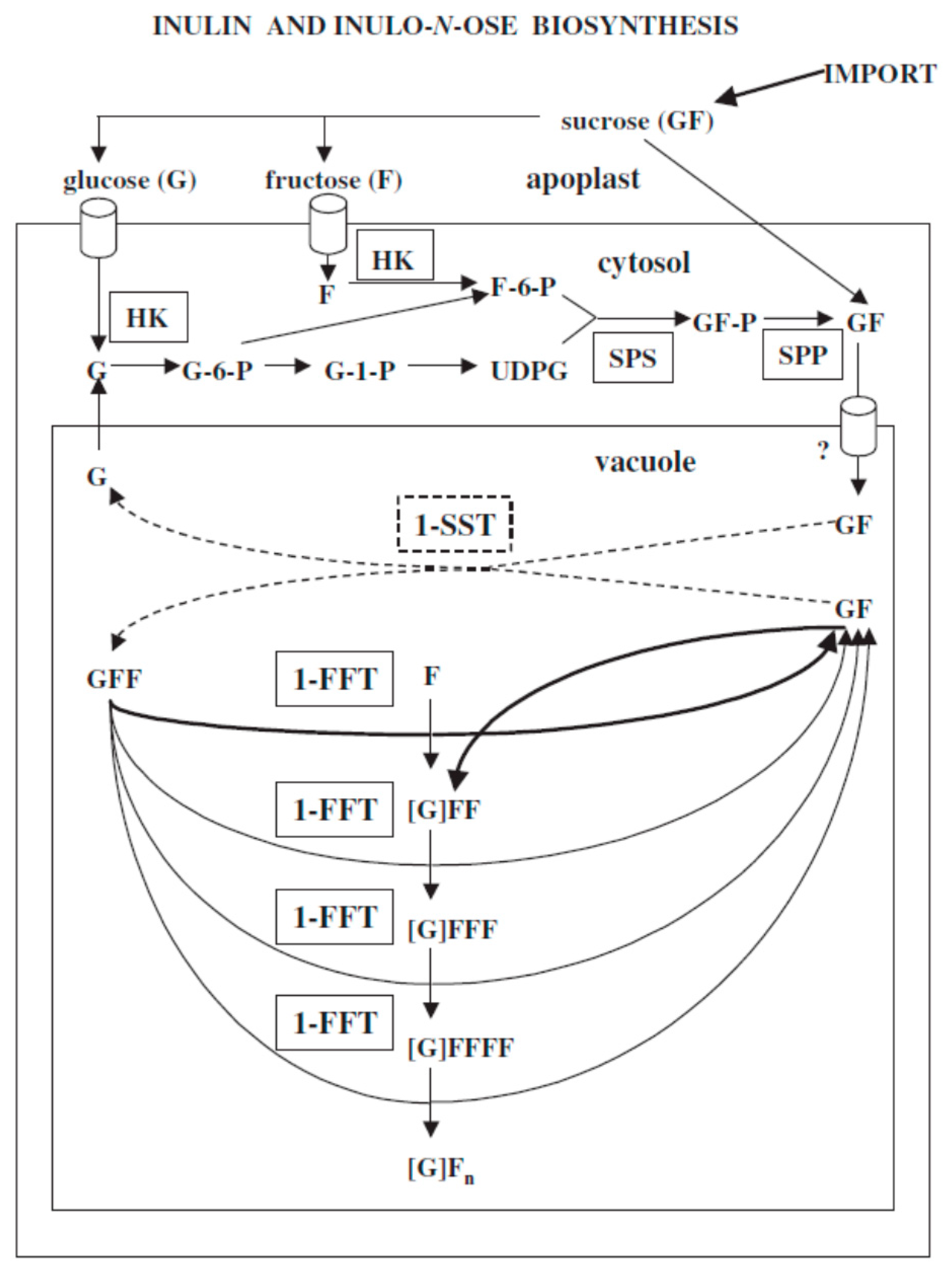 Agronomy 12 00290 g001