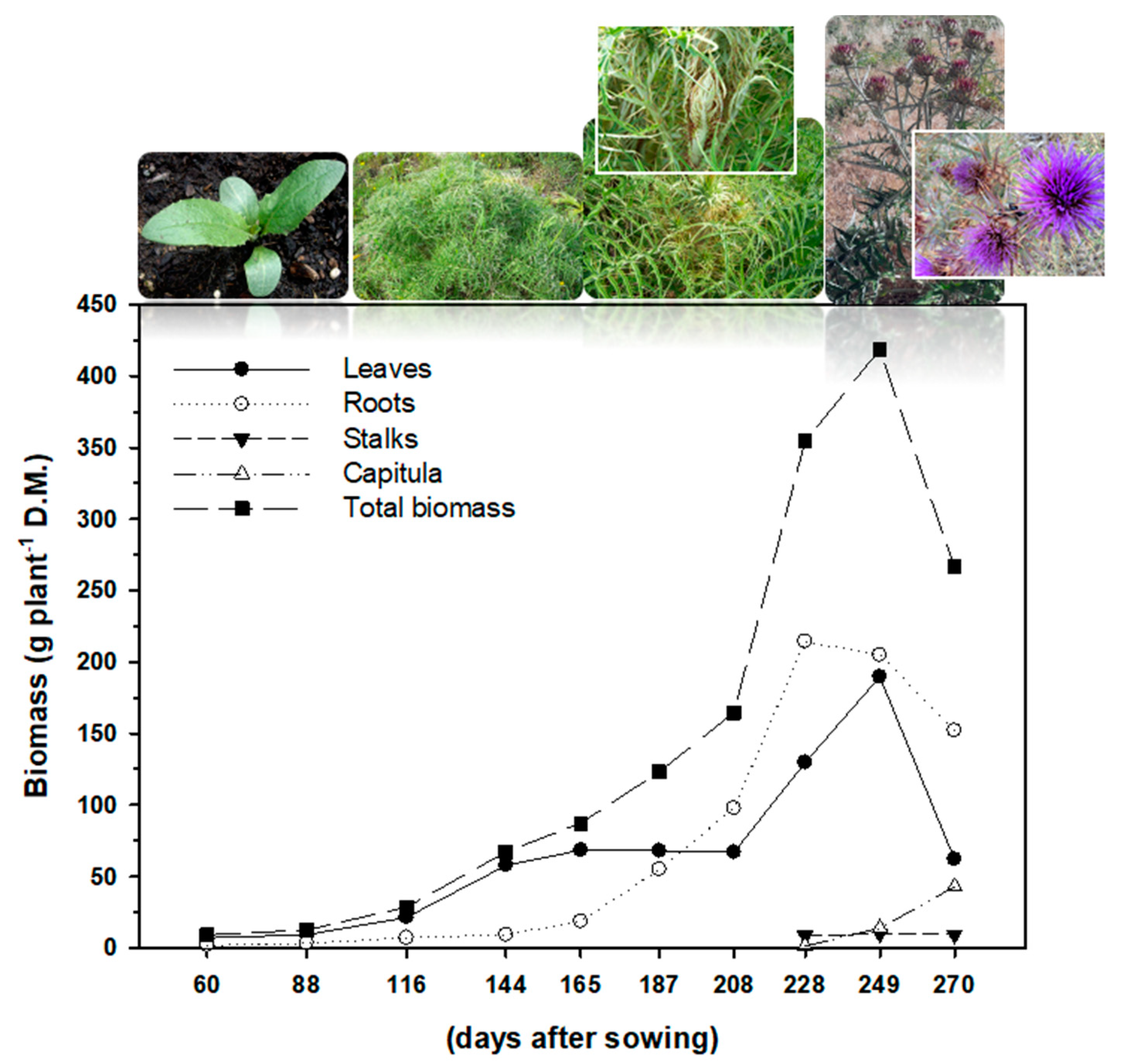 Agronomy 12 00290 g003