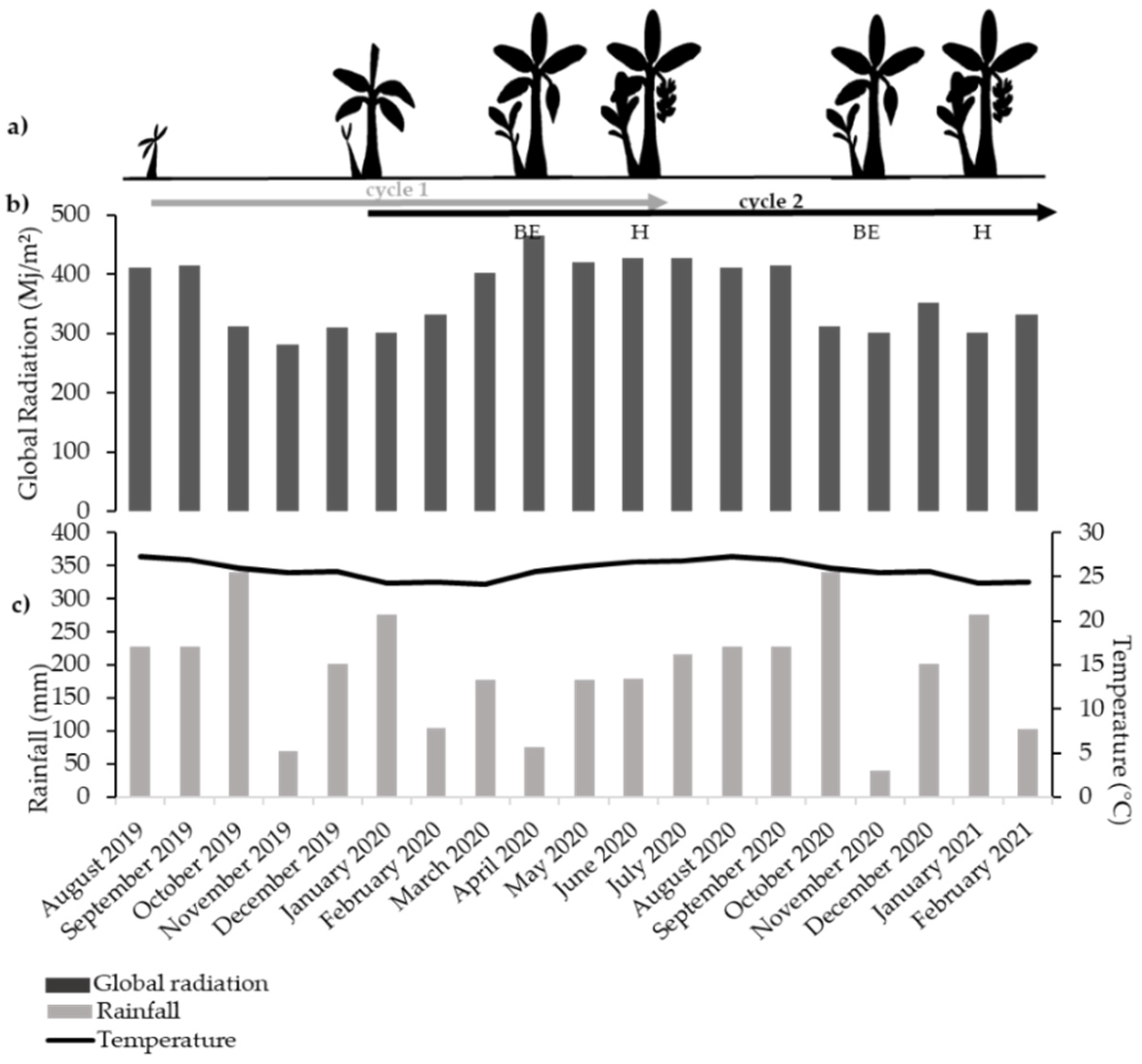 Agronomy 12 00333 g001