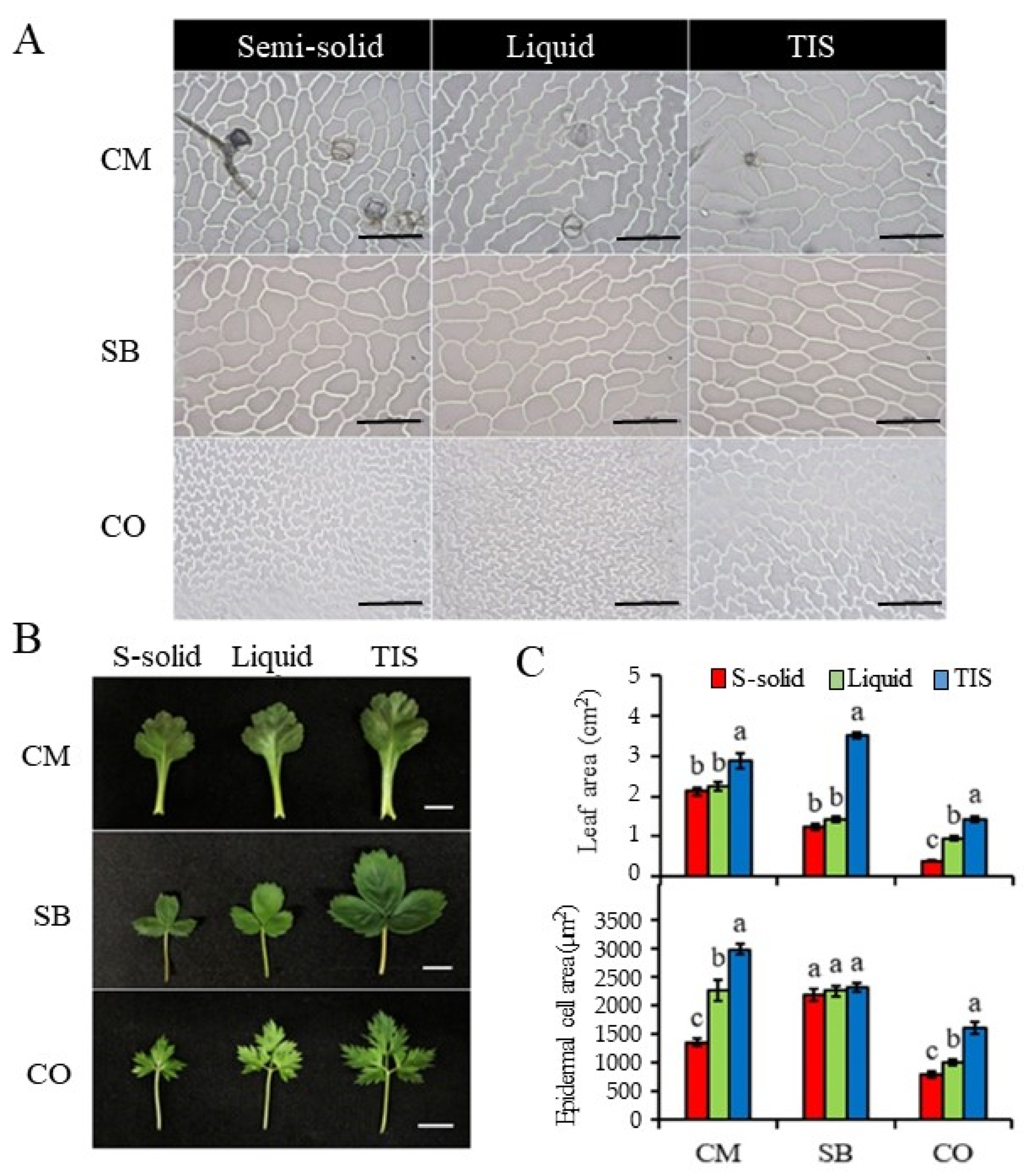 Agronomy 12 00346 g004