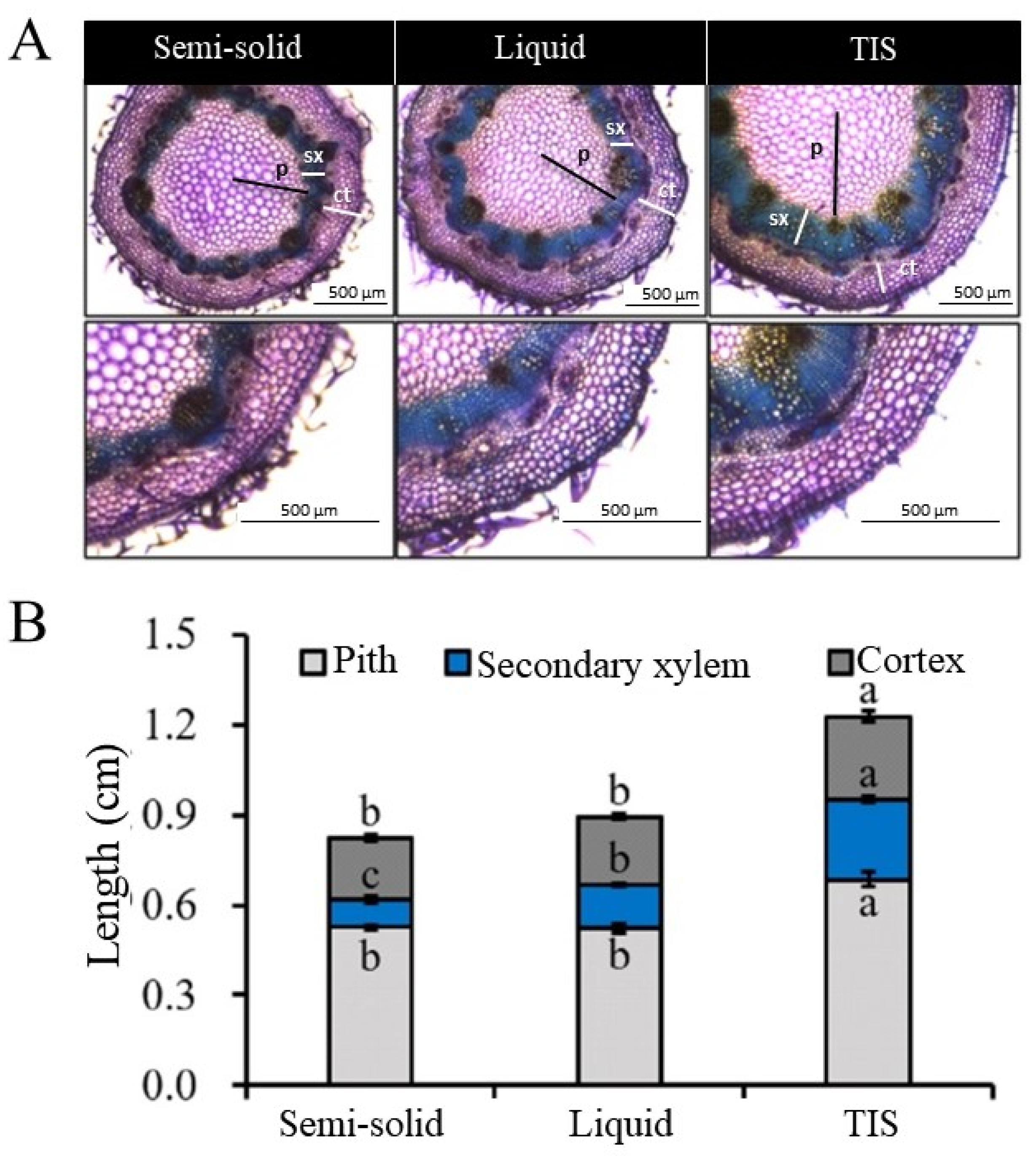 Agronomy 12 00346 g005