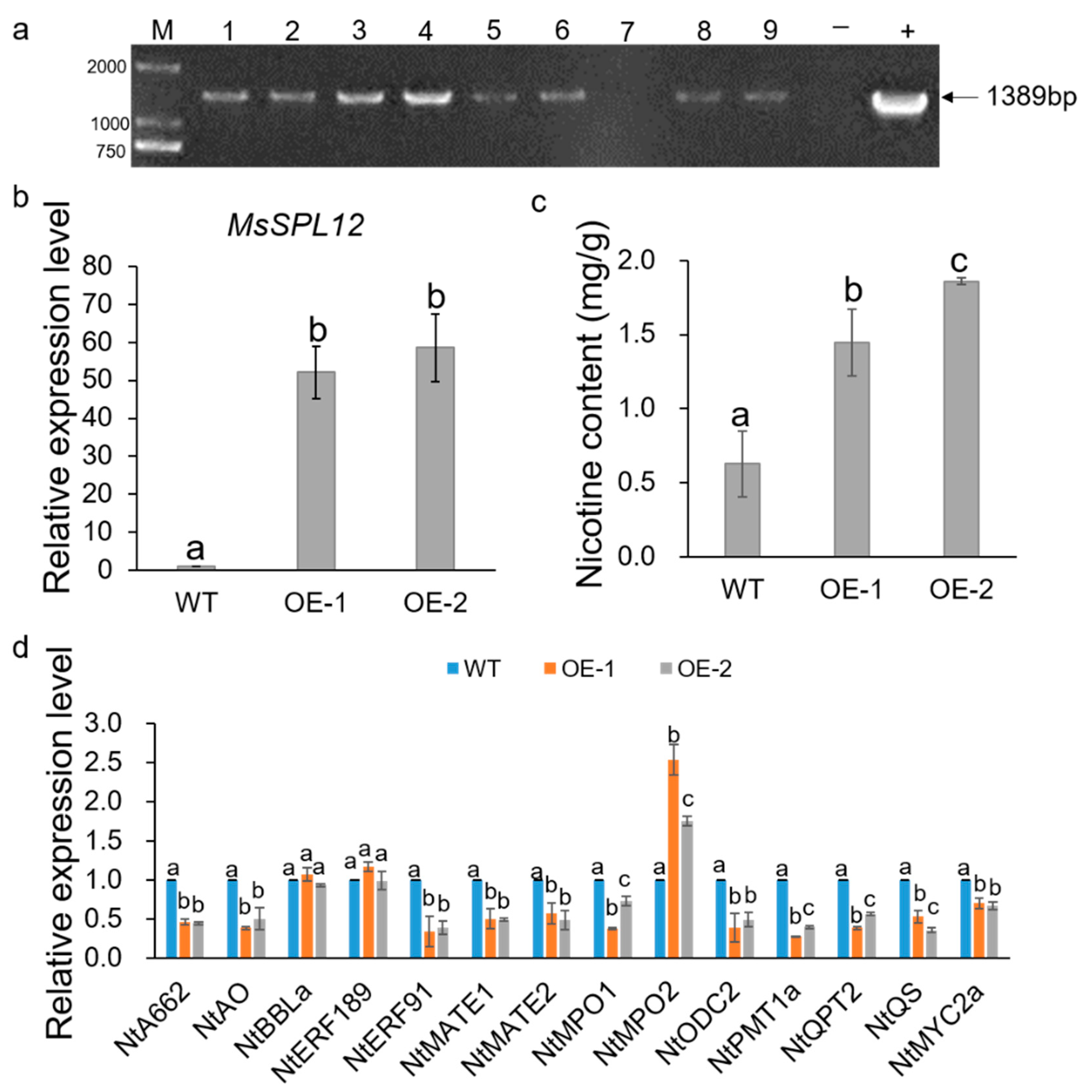 Agronomy 12 00348 g006