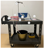 Agronomy 12 00349 g001