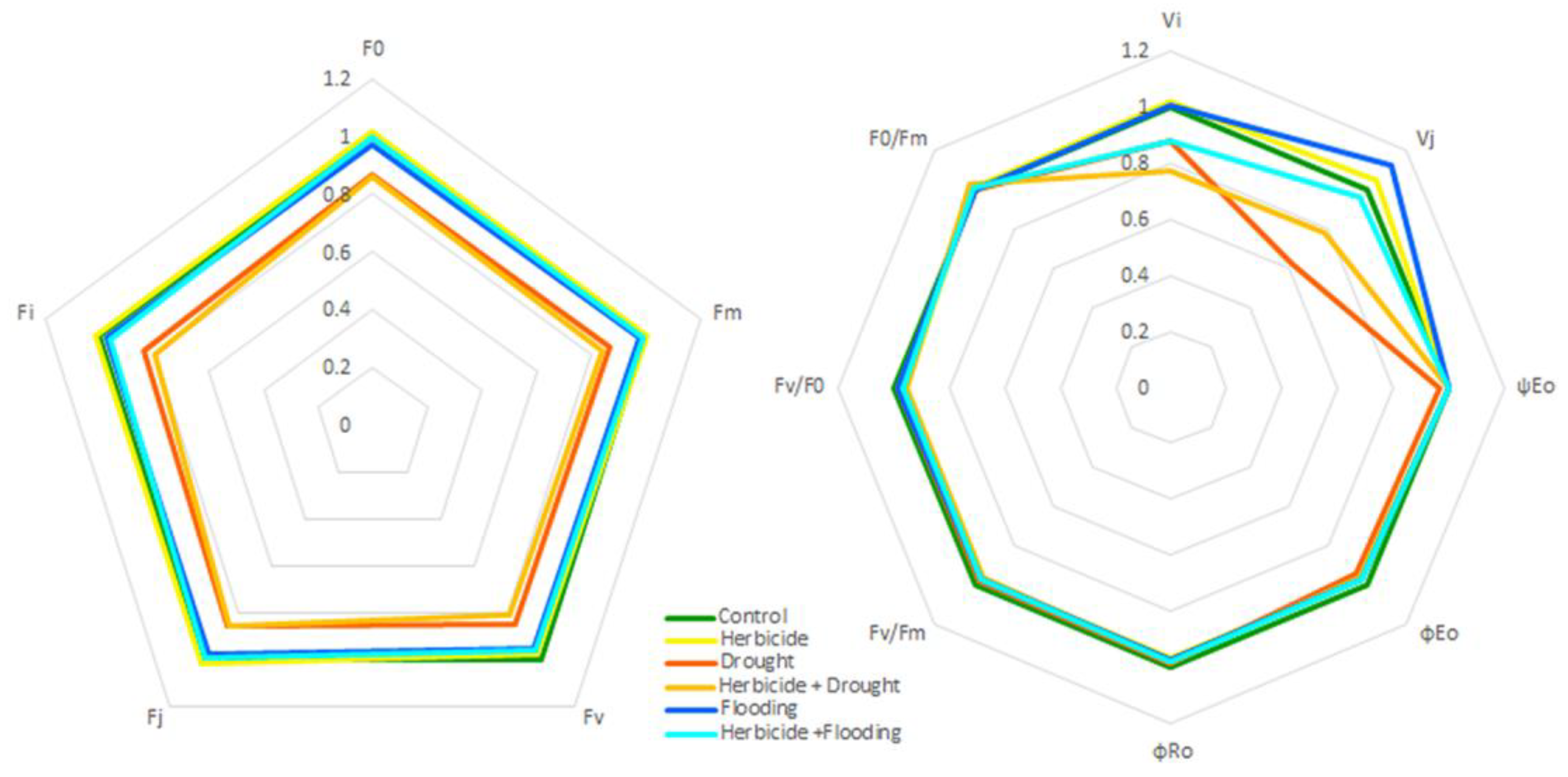Agronomy 12 00390 g005