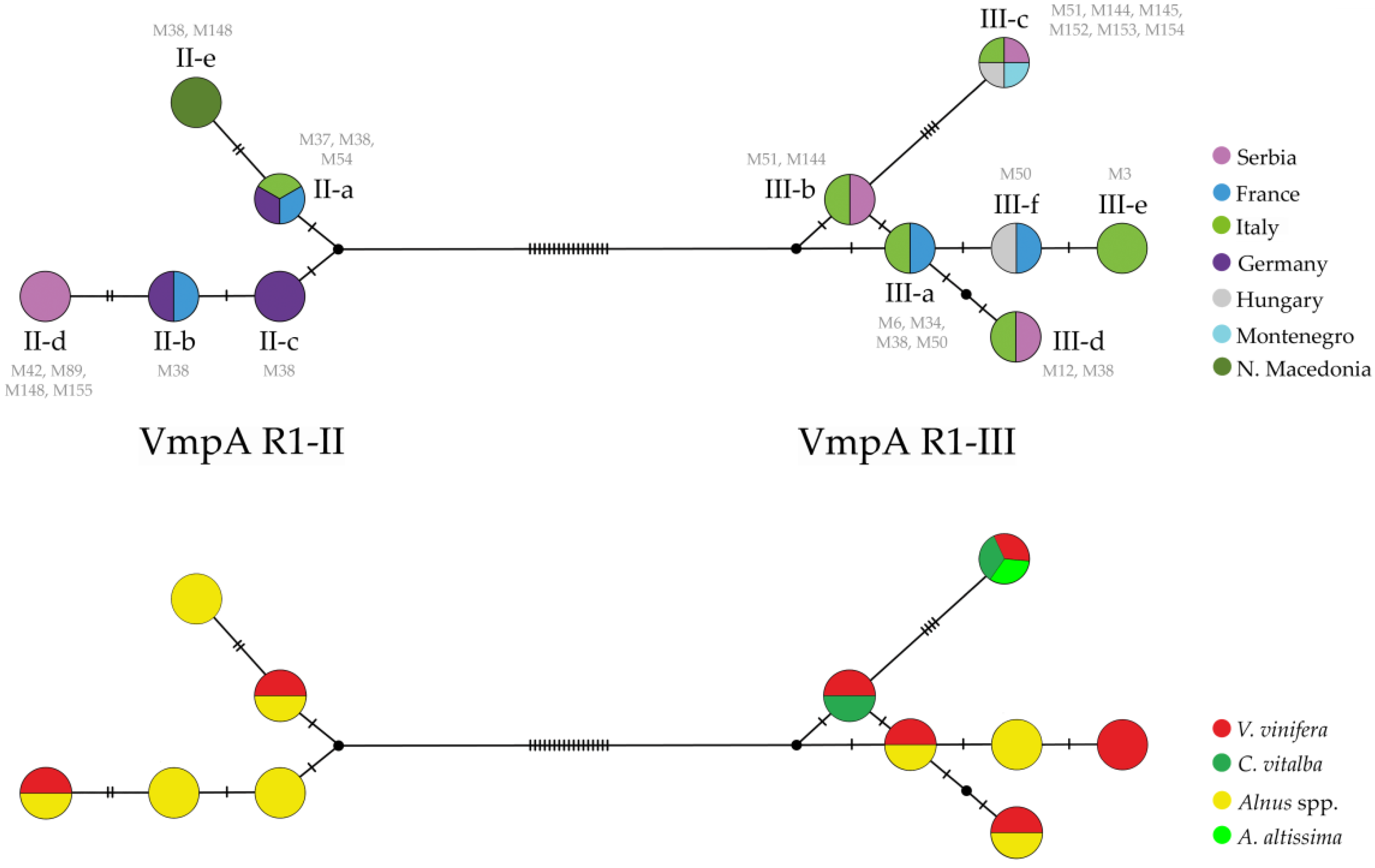 Agronomy 12 00448 g004