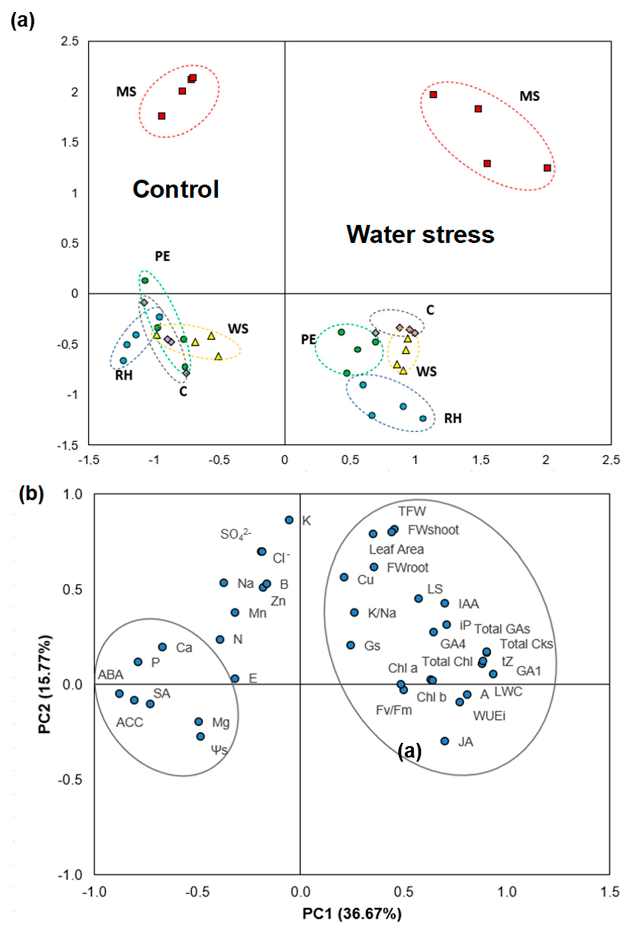 Agronomy 12 00459 g007