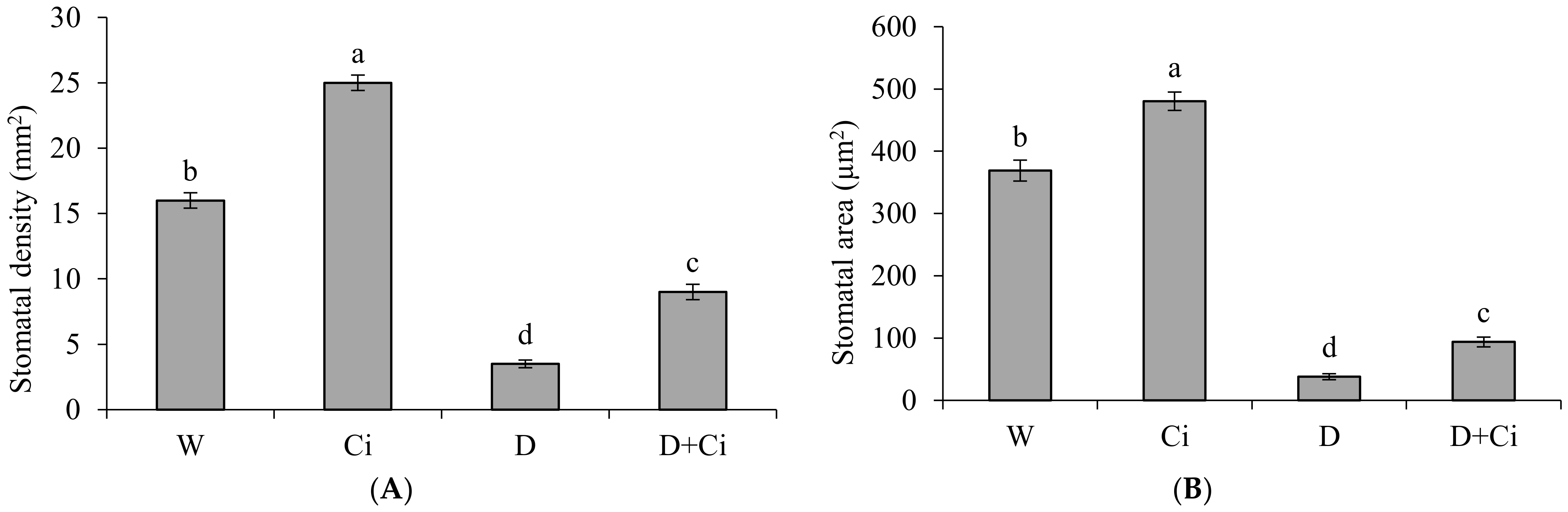Agronomy 12 00474 g004