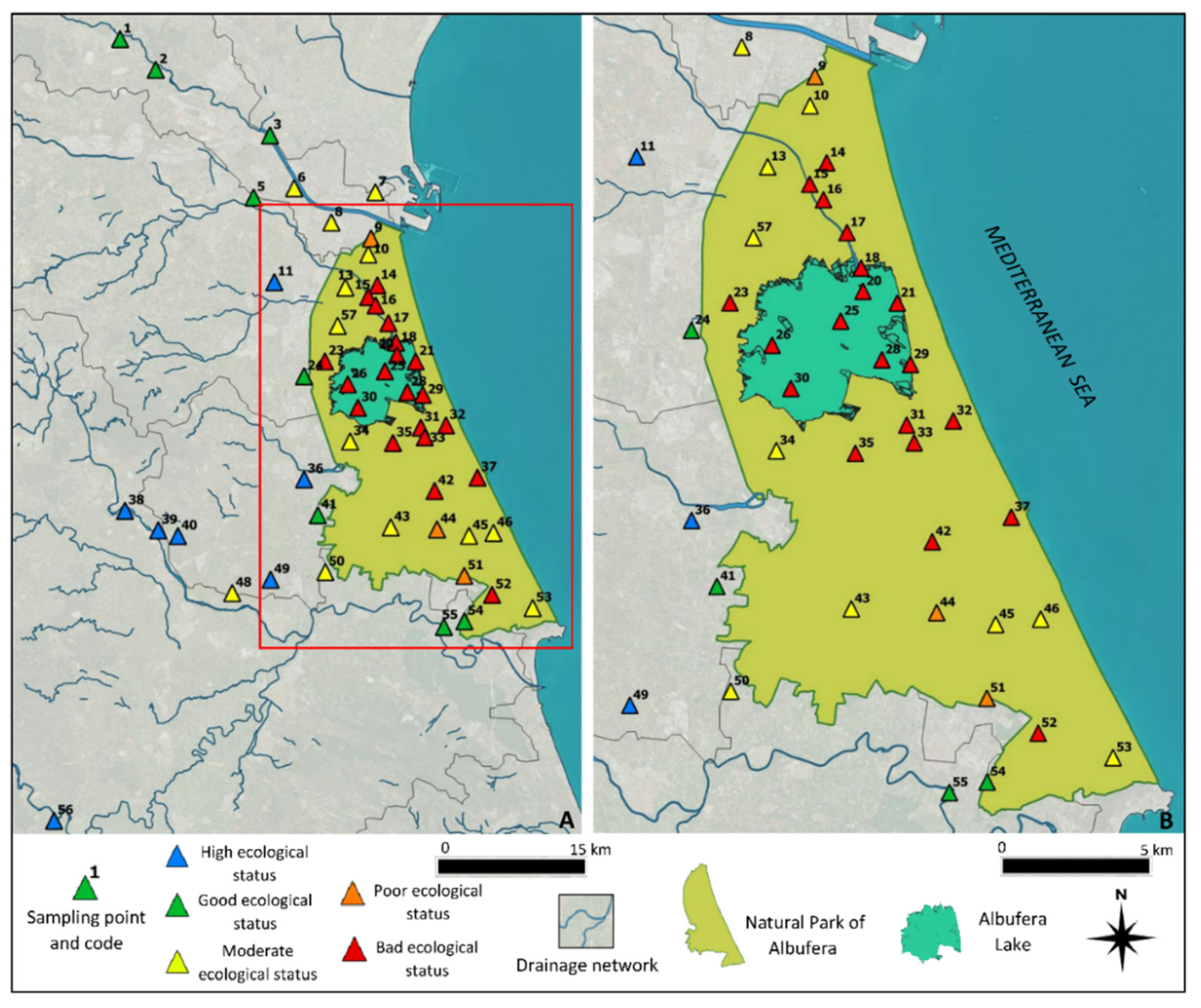 Agronomy 12 00486 g006