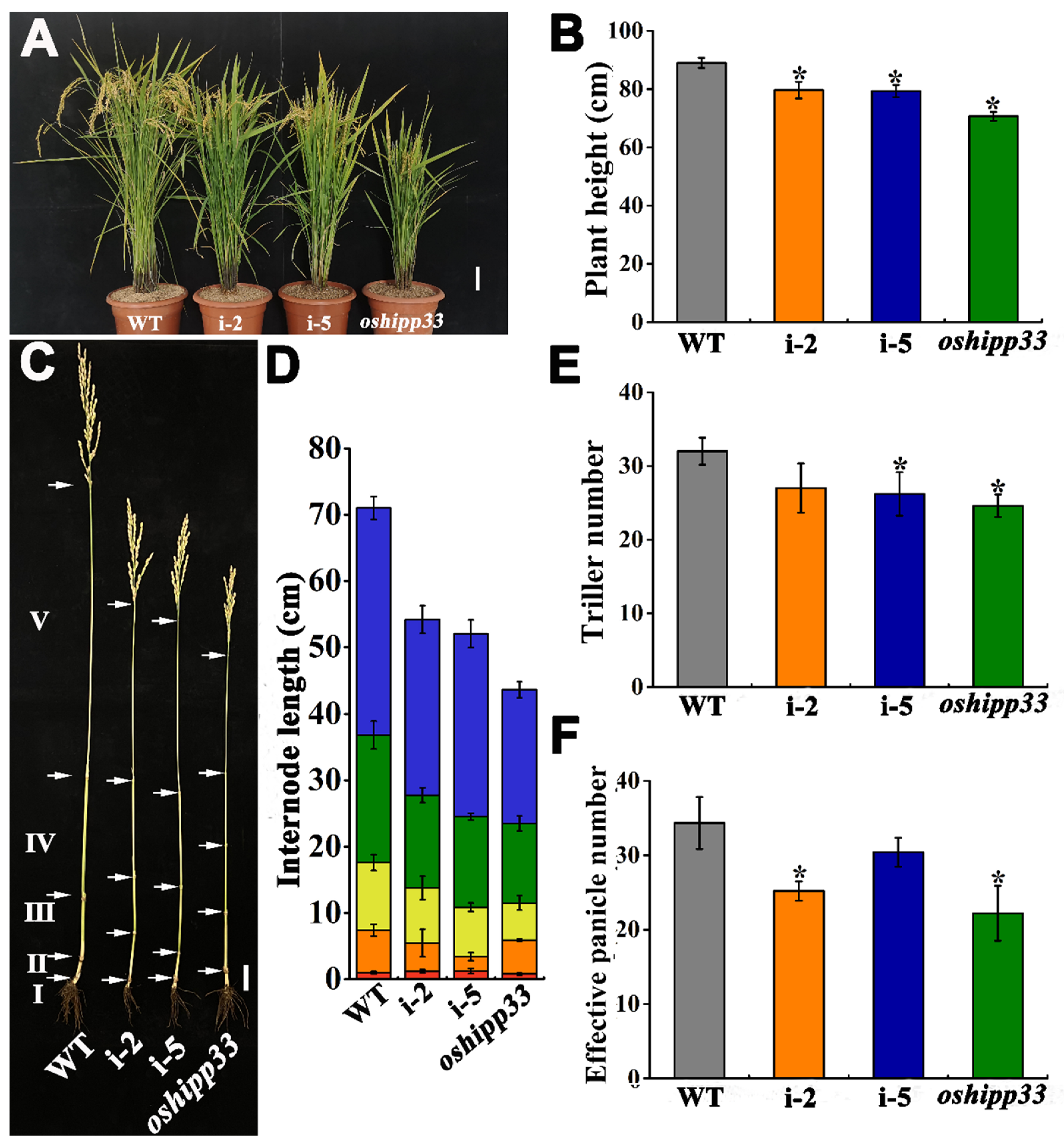 Agronomy 12 00488 g003
