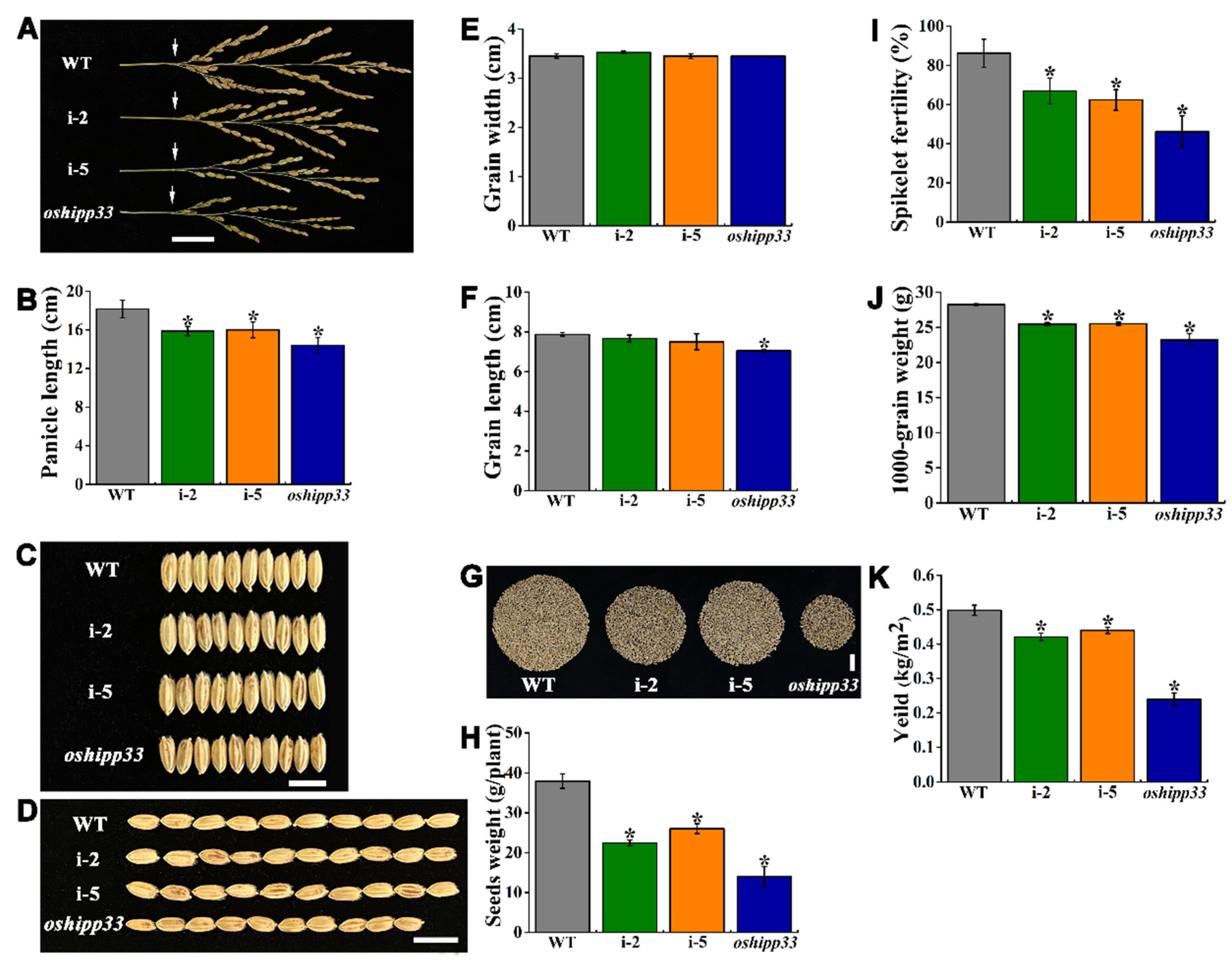 Agronomy 12 00488 g004