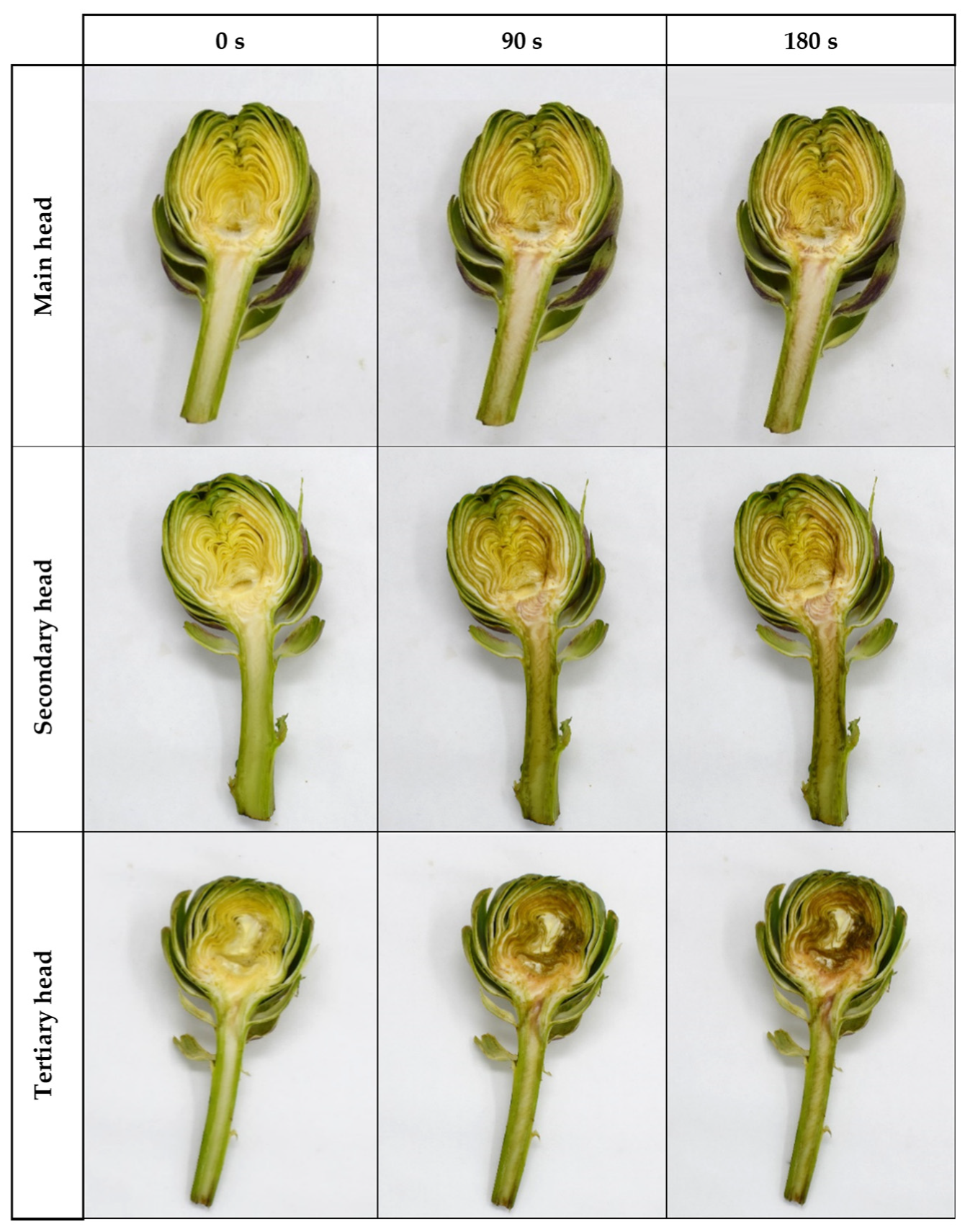 Agronomy 12 00515 g003