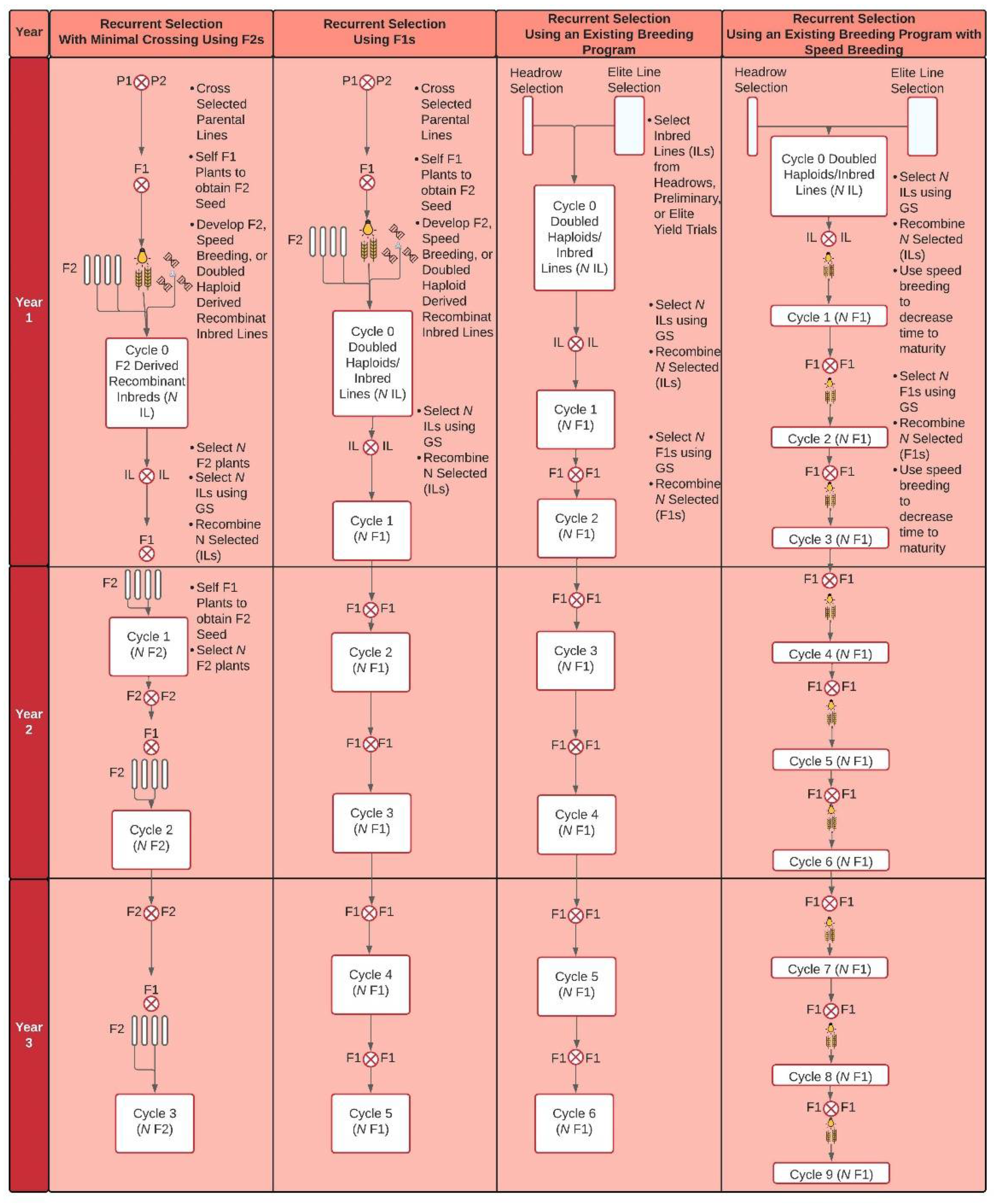 Agronomy 12 00522 g004