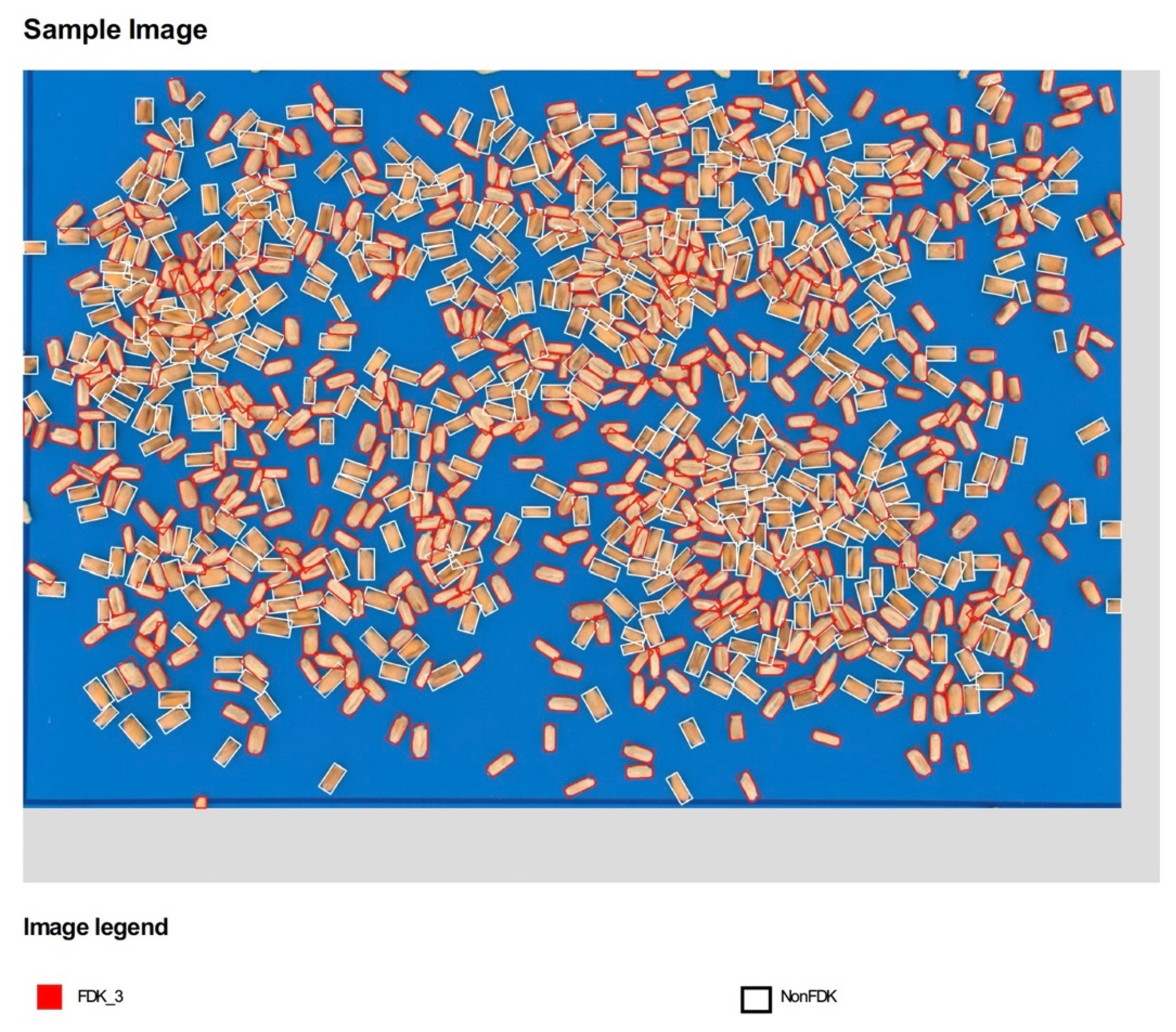 Agronomy 12 00532 g002