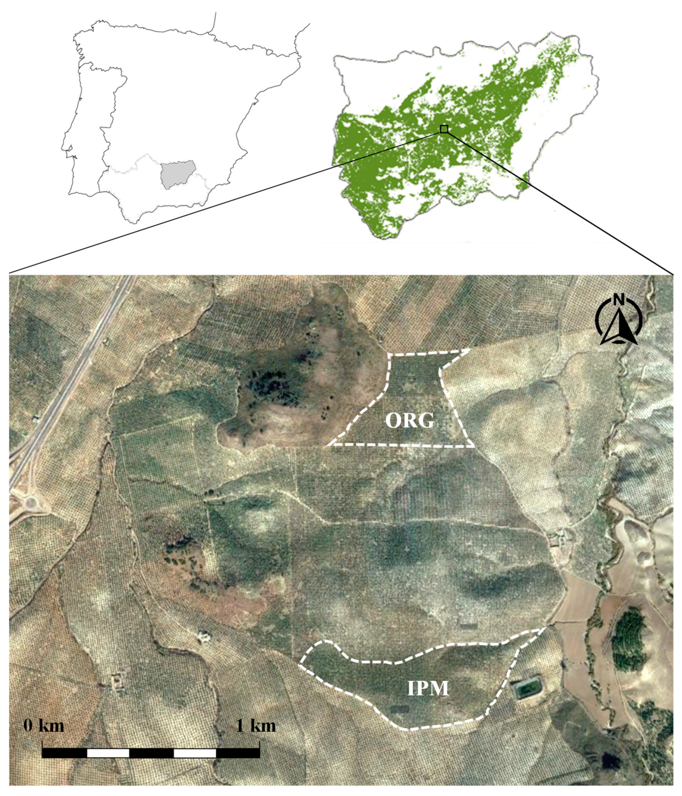 https://www.mdpi.com/agronomy/agronomy-12-00538/article_deploy/html/images/agronomy-12-00538-g001.png