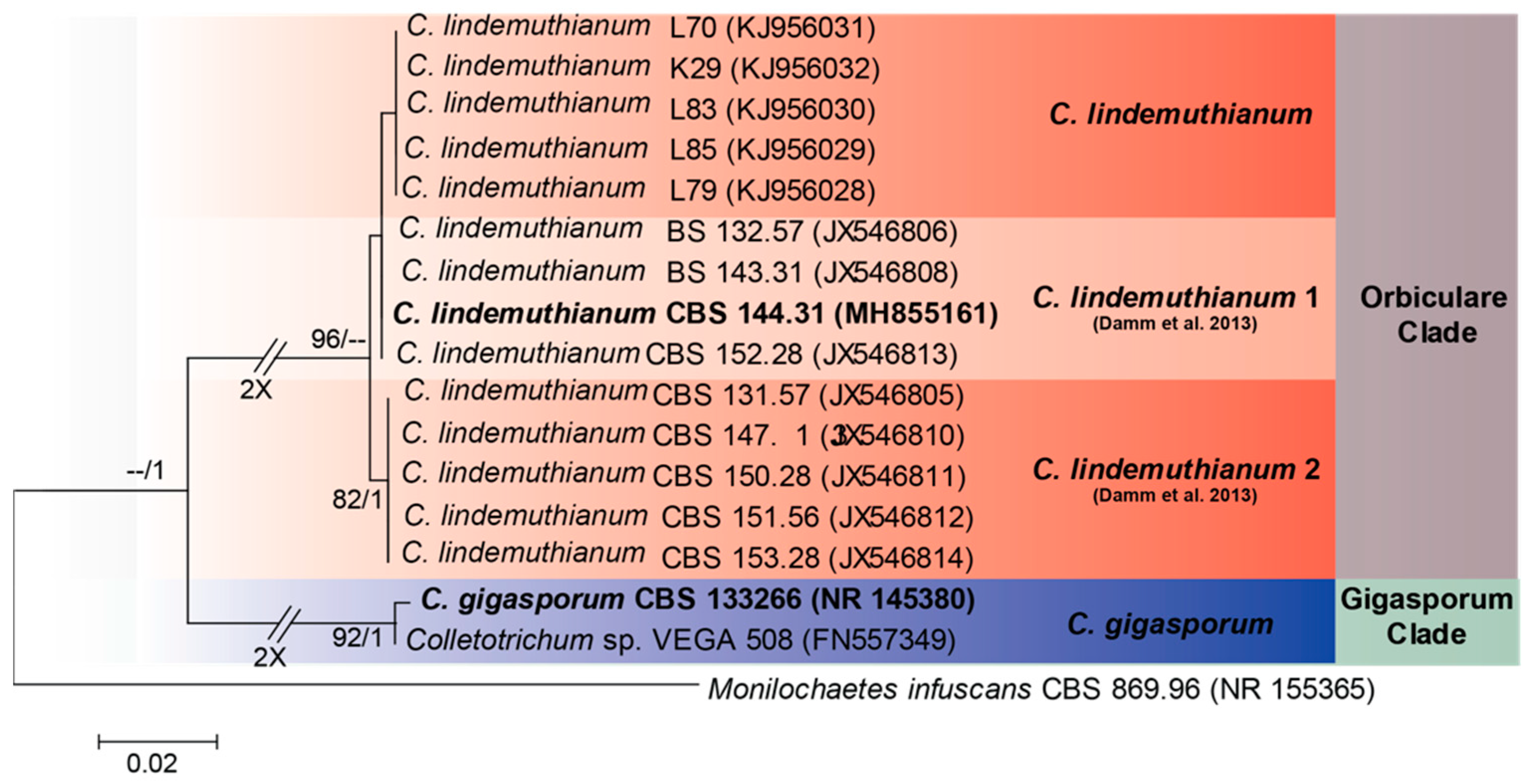 Agronomy 12 00548 g004 Agronomy 12 00548 g004