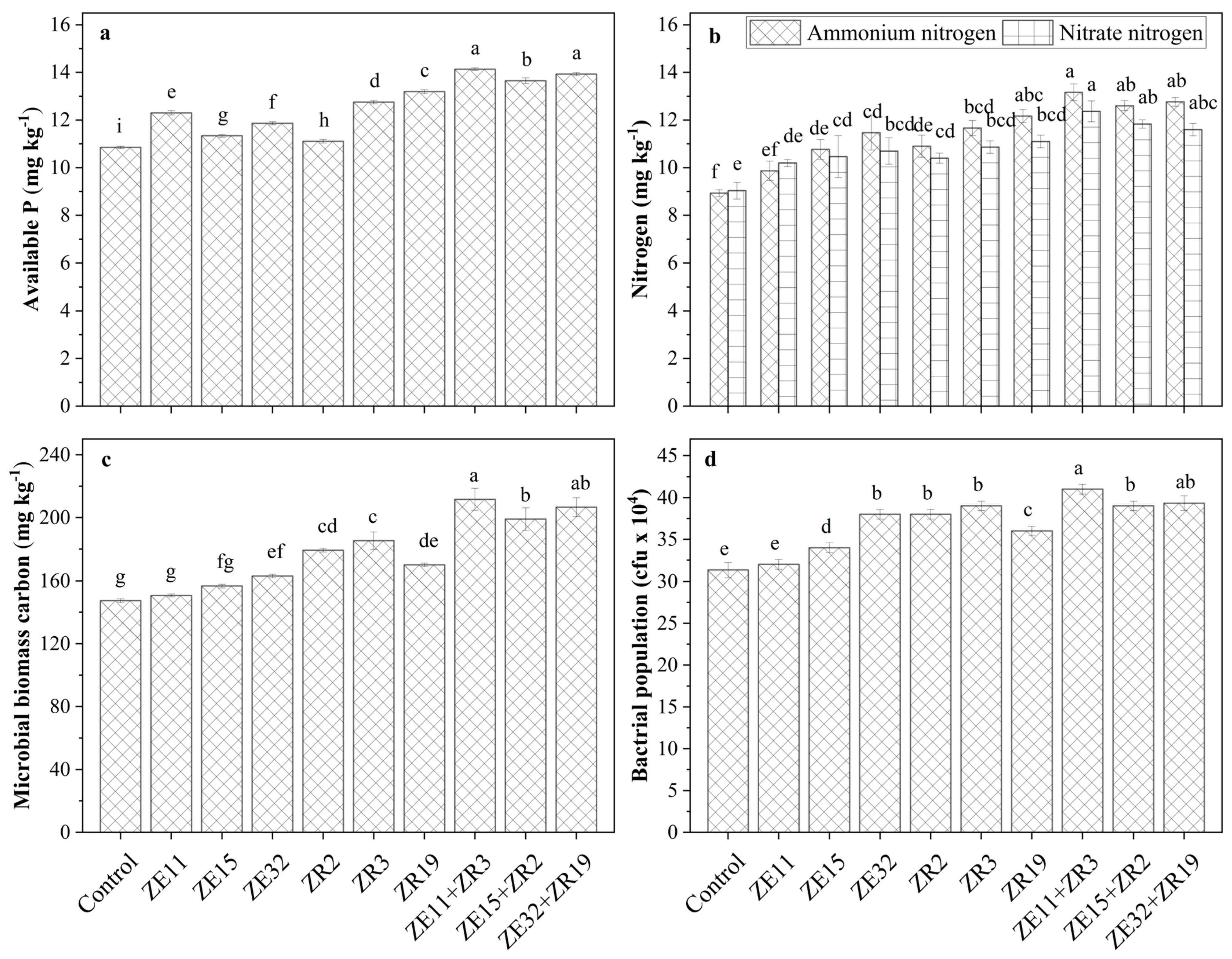 Agronomy 12 00551 g001