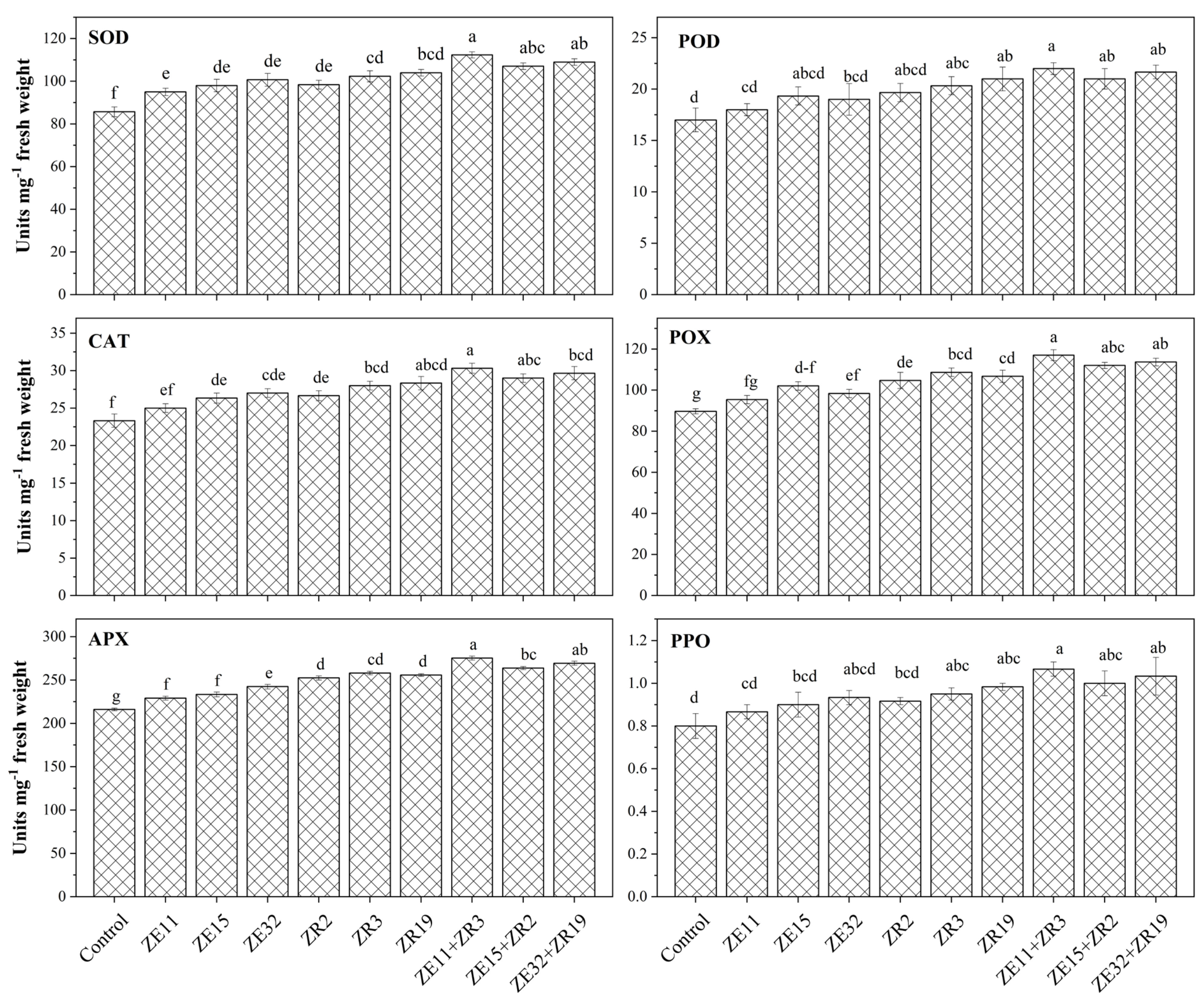 Agronomy 12 00551 g002