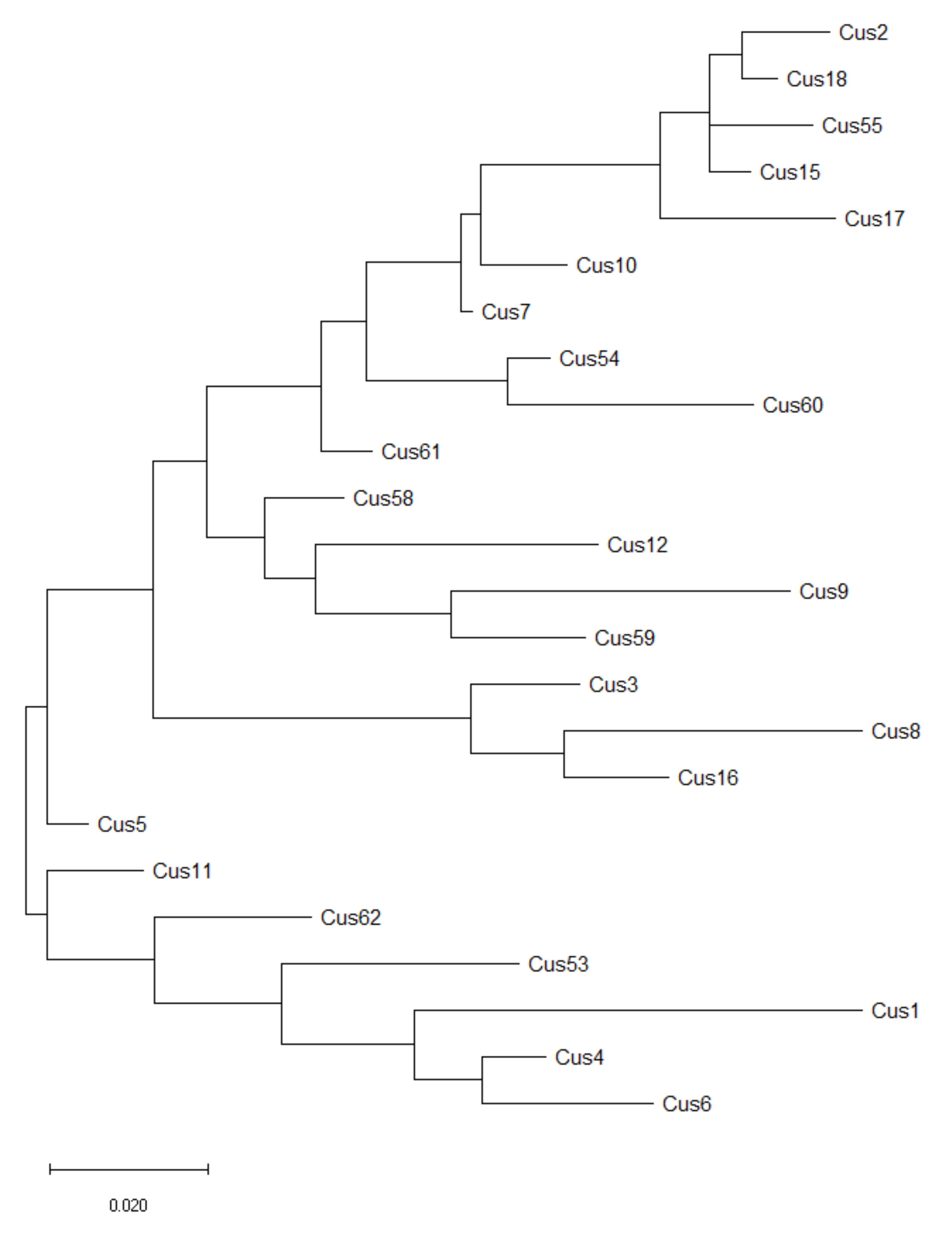 Agronomy 12 00559 g005