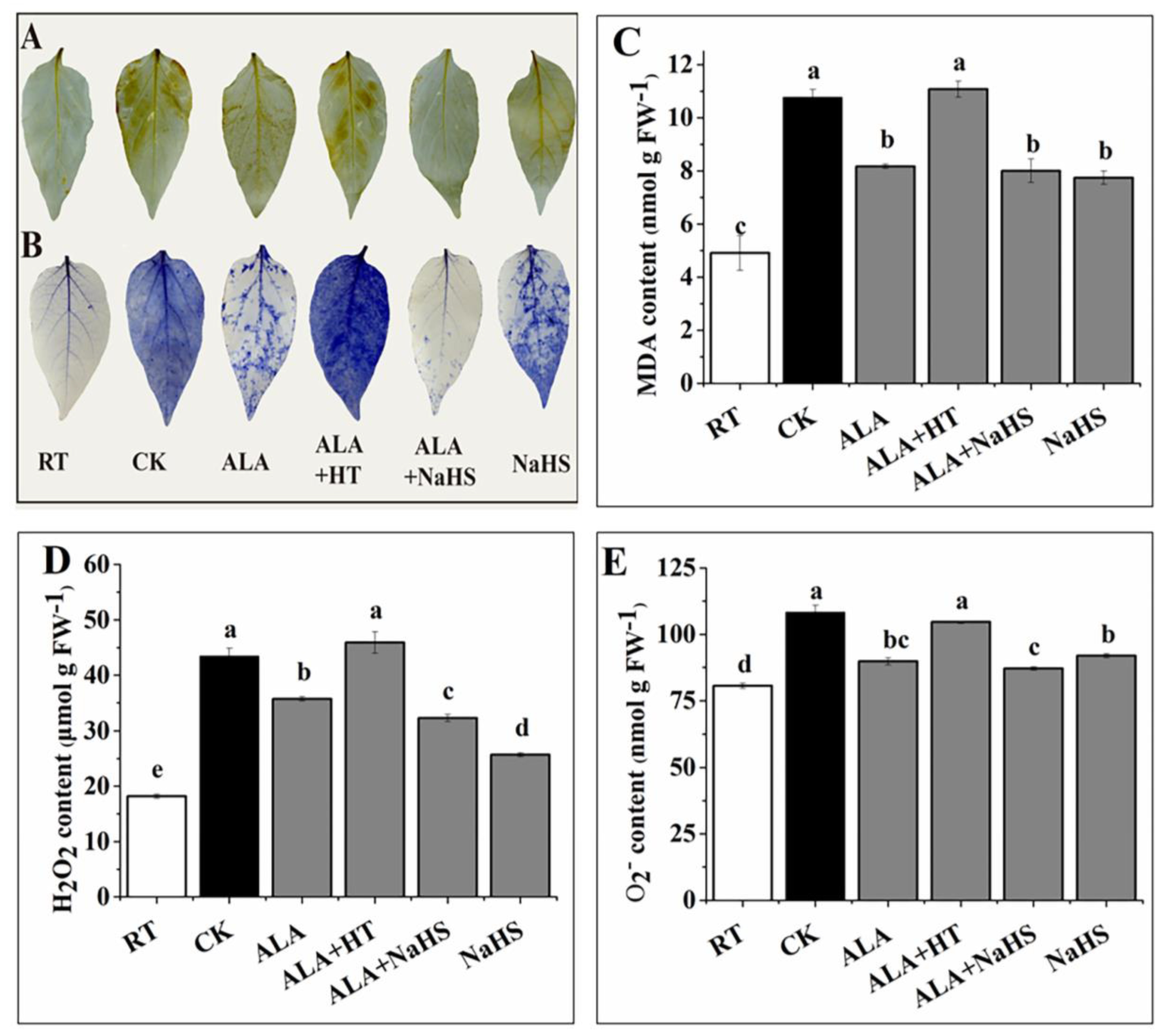 Agronomy 12 00572 g002